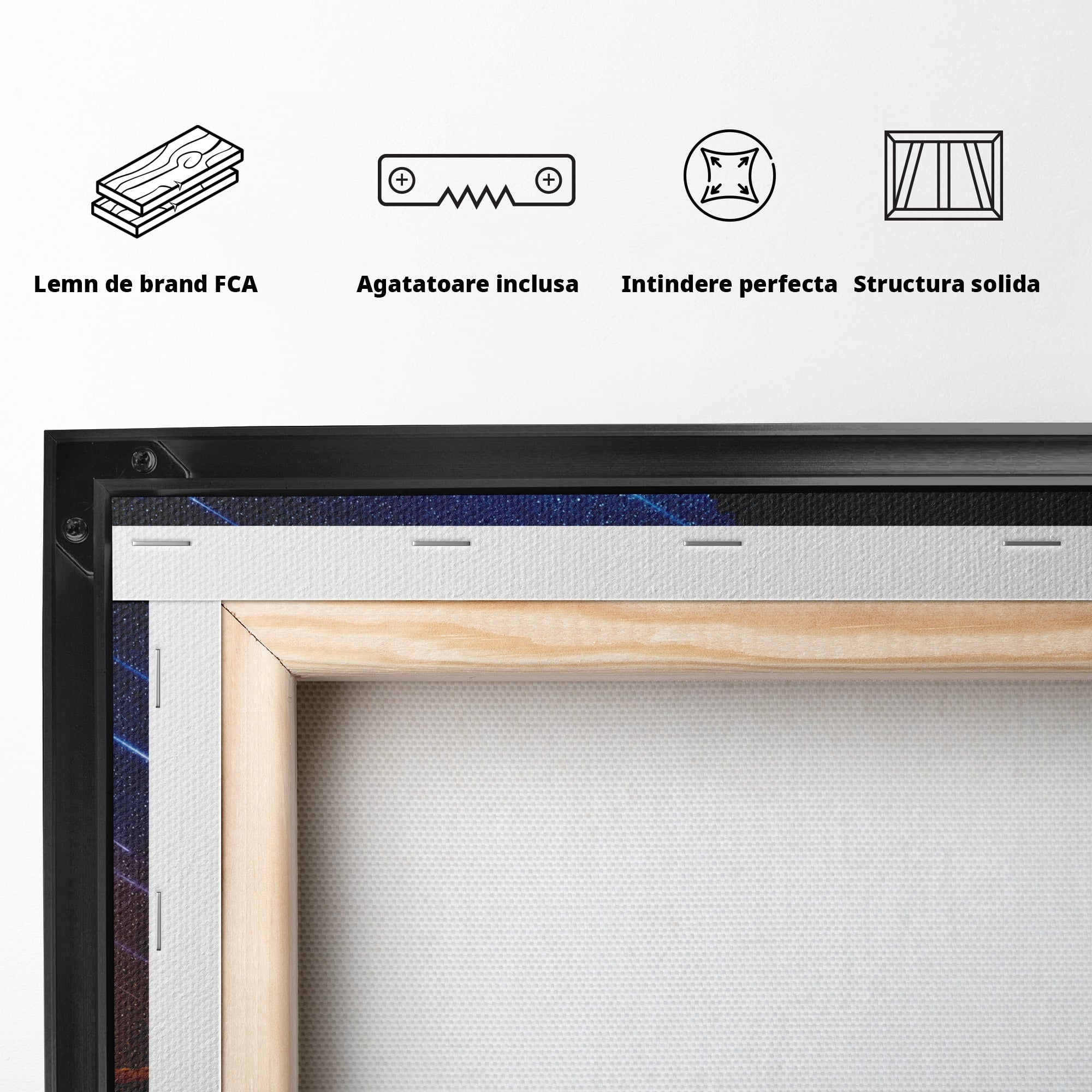 Tablou Canvas Premium LuxCanva® S1013, Contemplatie Sub Luna Plina, Luna, Copac, Stele, Noapte, Meditatie, Living, Culori Vibrante