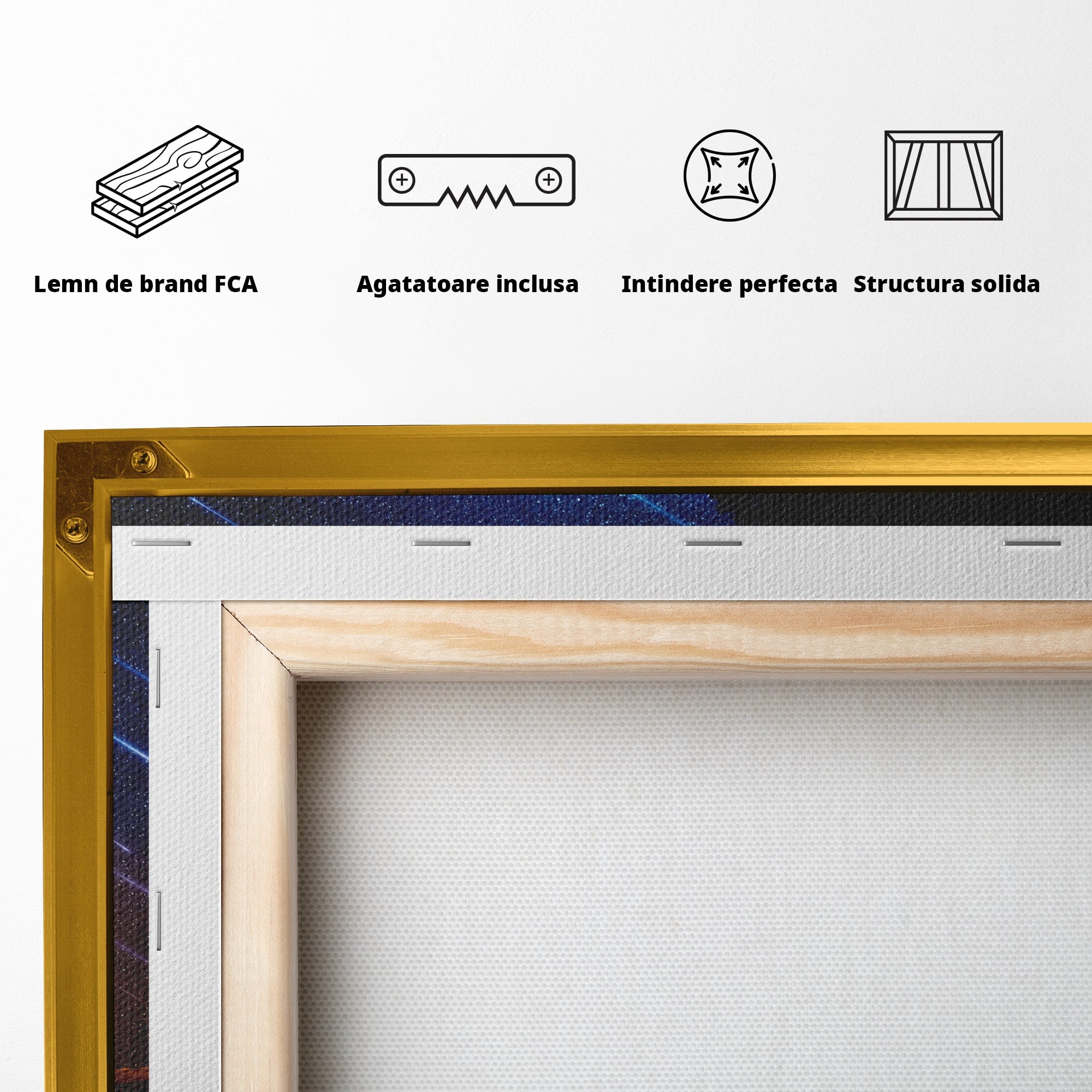 Tablou Canvas Premium LuxCanva® S1013, Contemplatie Sub Luna Plina, Luna, Copac, Stele, Noapte, Meditatie, Living, Culori Vibrante