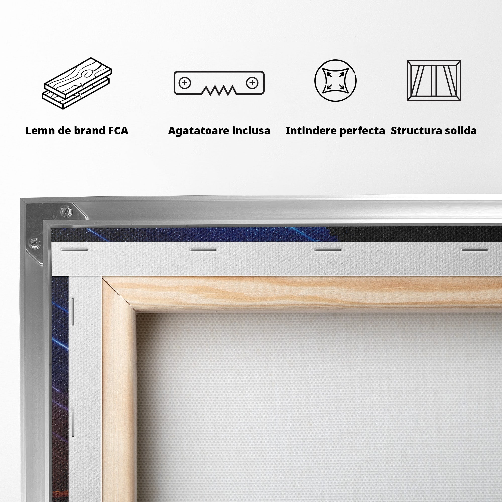 Tablou Canvas Premium LuxCanva® S1013, Contemplatie Sub Luna Plina, Luna, Copac, Stele, Noapte, Meditatie, Living, Culori Vibrante