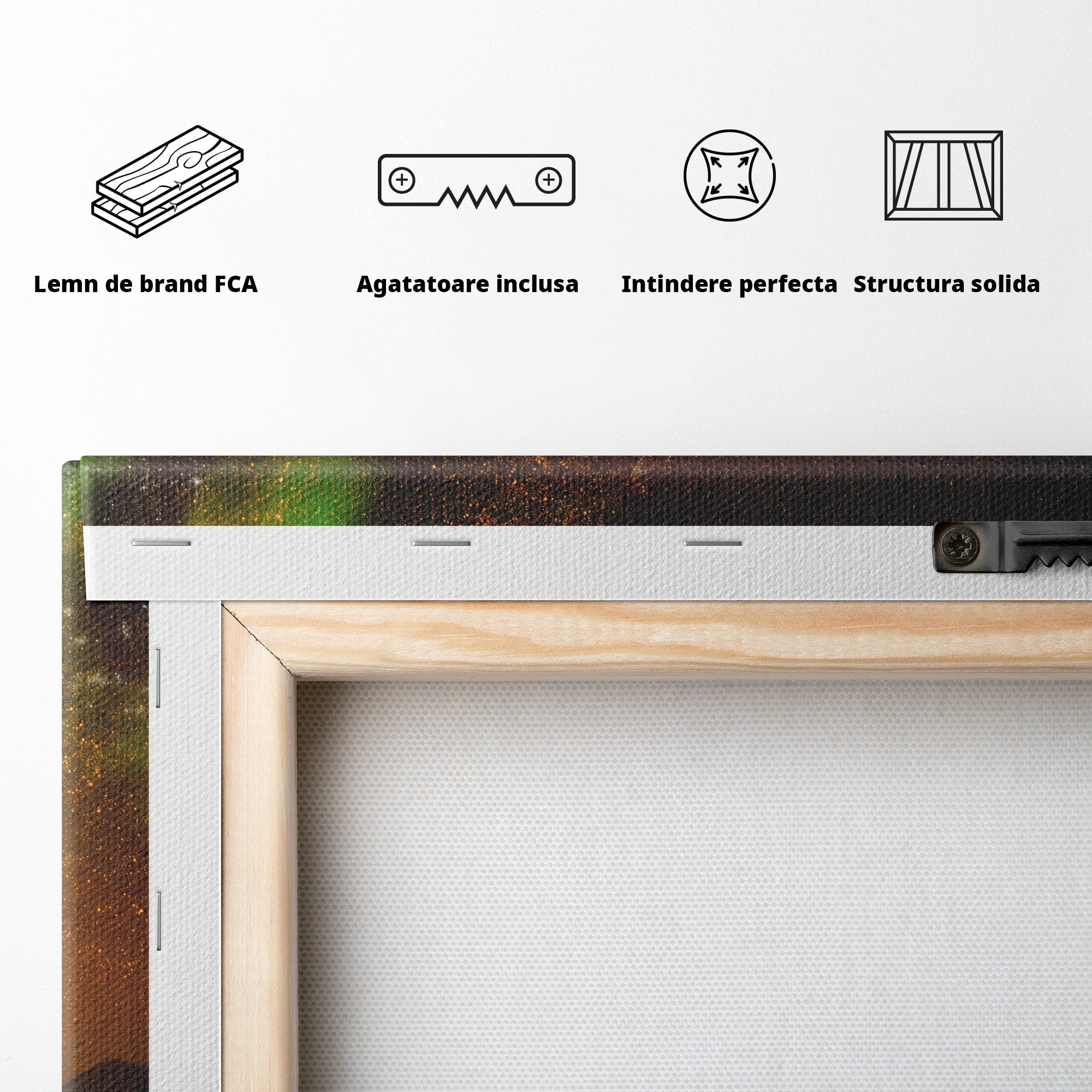Tablou Canvas Premium LuxCanva® S1015, Cuplu Sub Aurora, Cuplu, Aurora, Masina, Stele, Noapte, Aventura, Living, Culori Vibrante