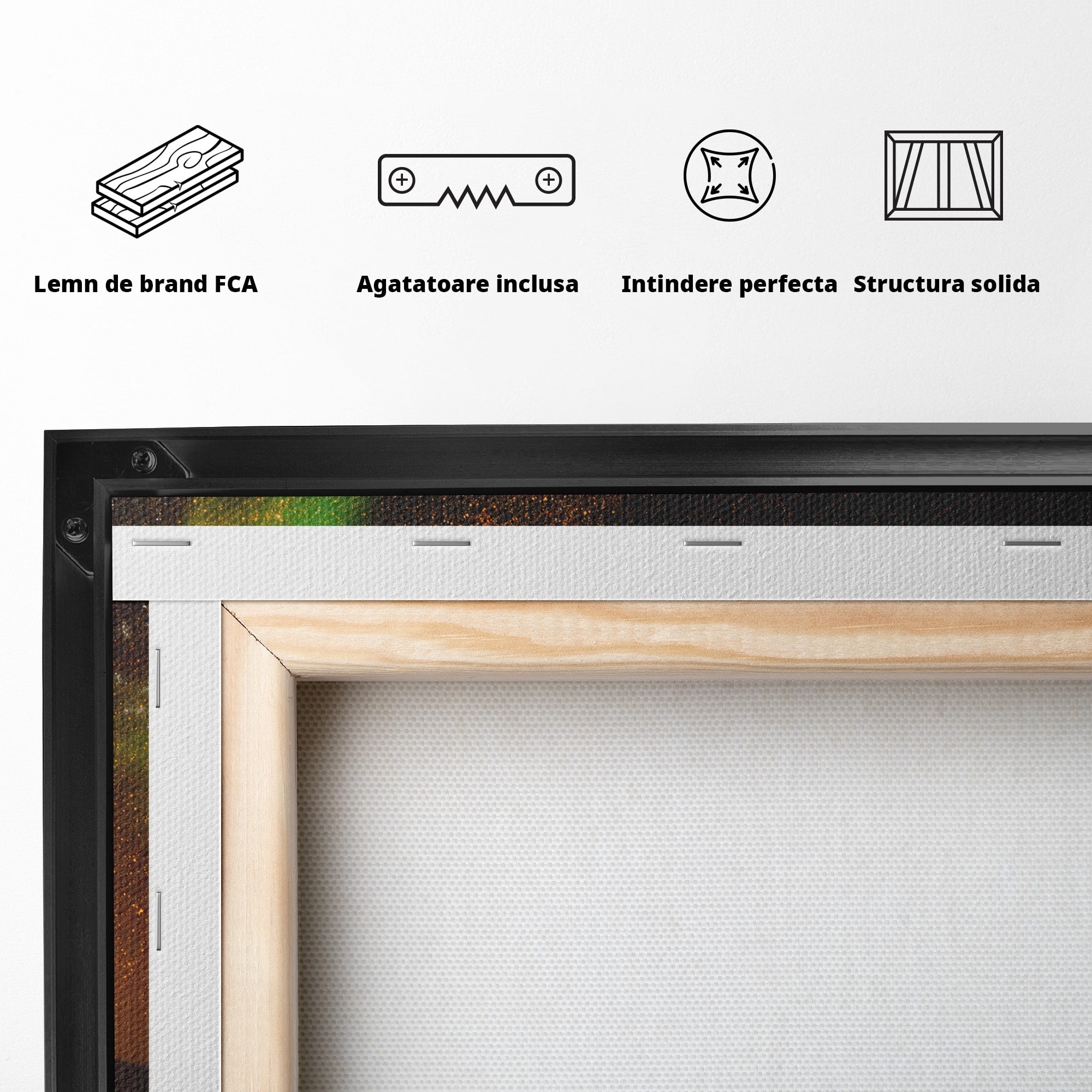 Tablou Canvas Premium LuxCanva® S1015, Cuplu Sub Aurora, Cuplu, Aurora, Masina, Stele, Noapte, Aventura, Living, Culori Vibrante