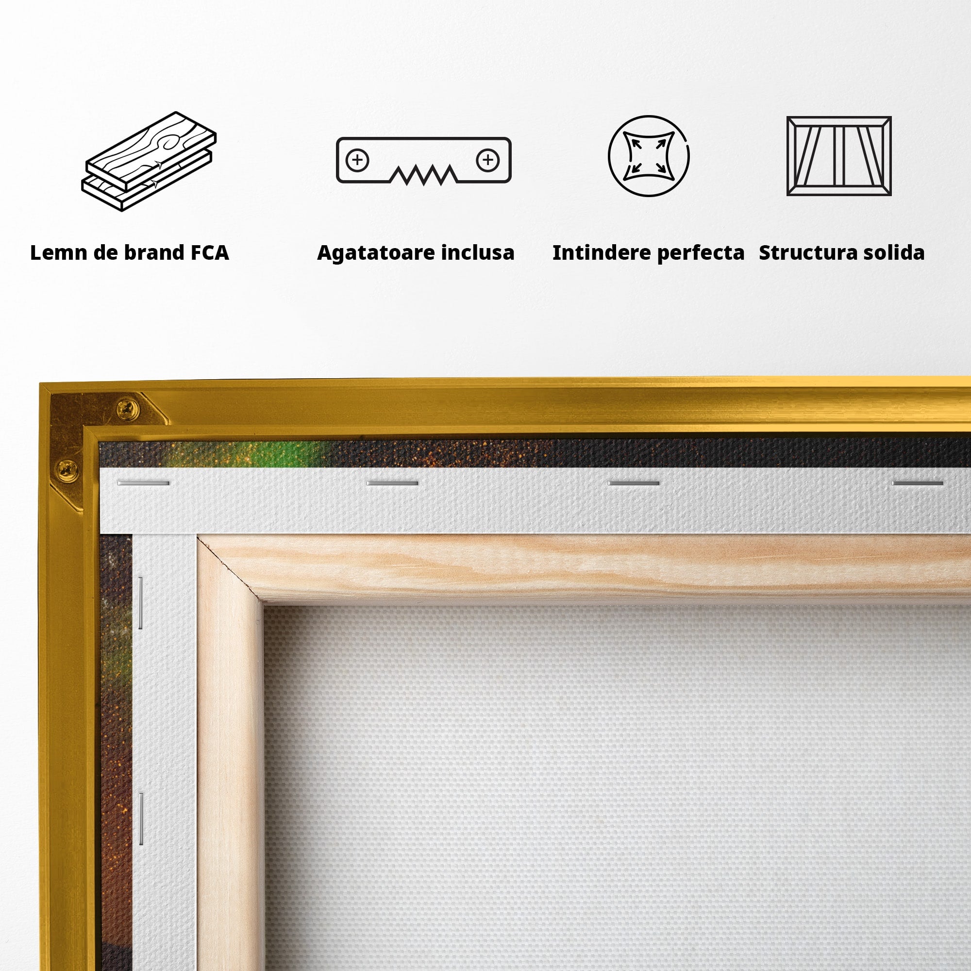 Tablou Canvas Premium LuxCanva® S1015, Cuplu Sub Aurora, Cuplu, Aurora, Masina, Stele, Noapte, Aventura, Living, Culori Vibrante