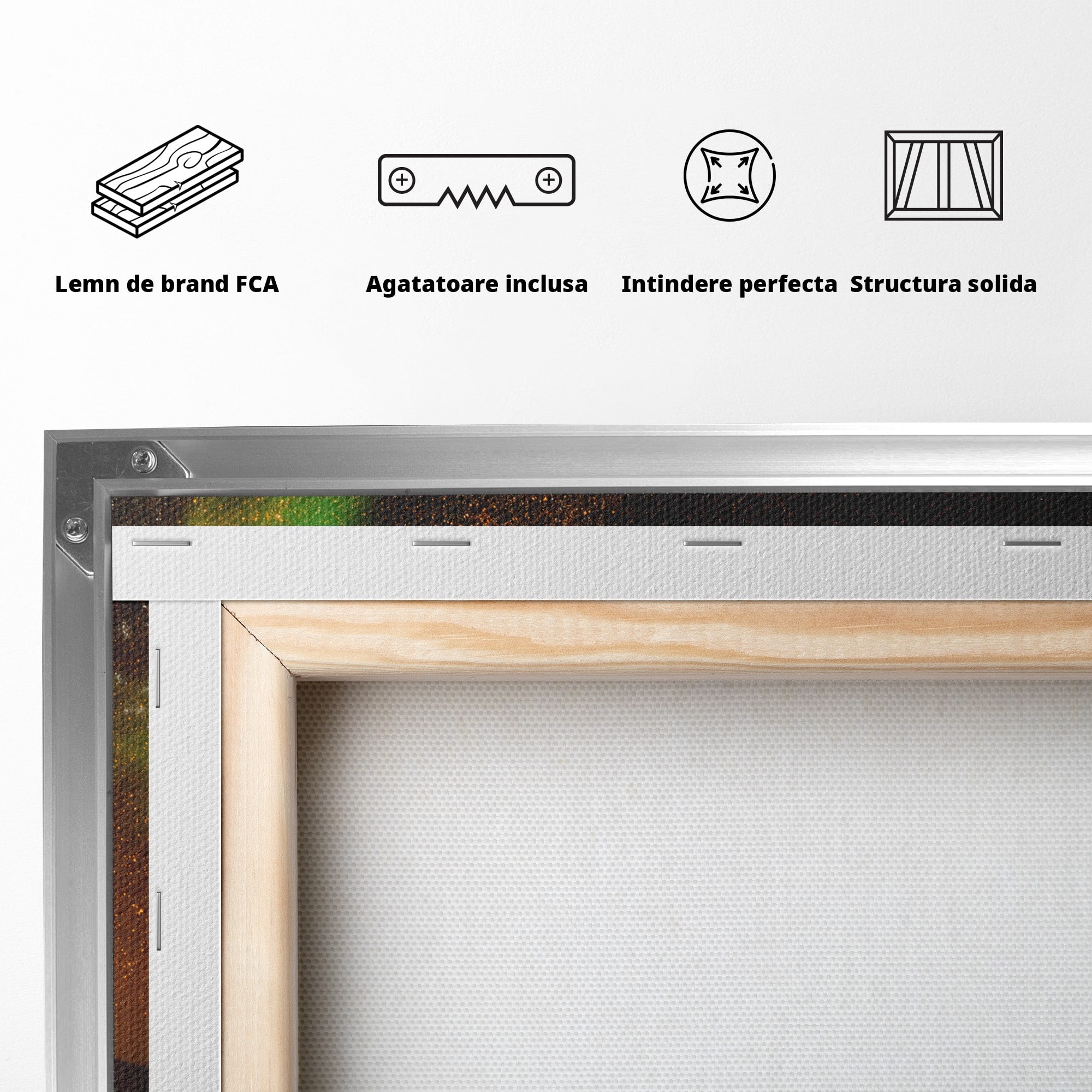 Tablou Canvas Premium LuxCanva® S1015, Cuplu Sub Aurora, Cuplu, Aurora, Masina, Stele, Noapte, Aventura, Living, Culori Vibrante