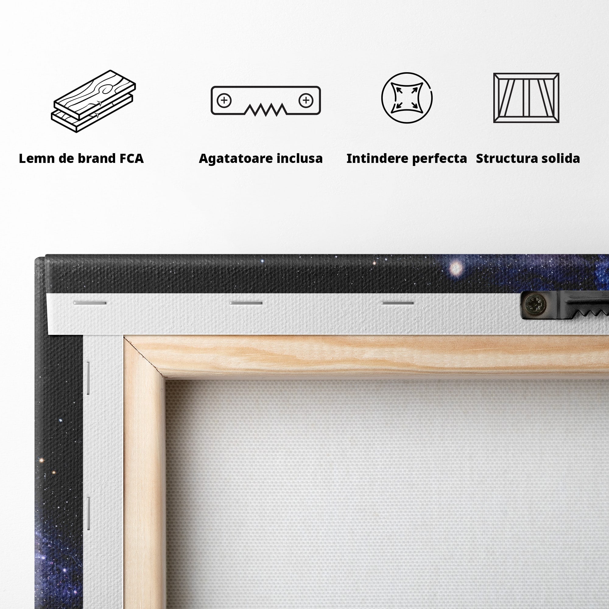 Tablou Canvas Premium LuxCanva® S1017, Galaxia Andromeda, Galaxie, Spatiu, Univers, Astronomie, Dormitor, Birou, Culori Vibrante