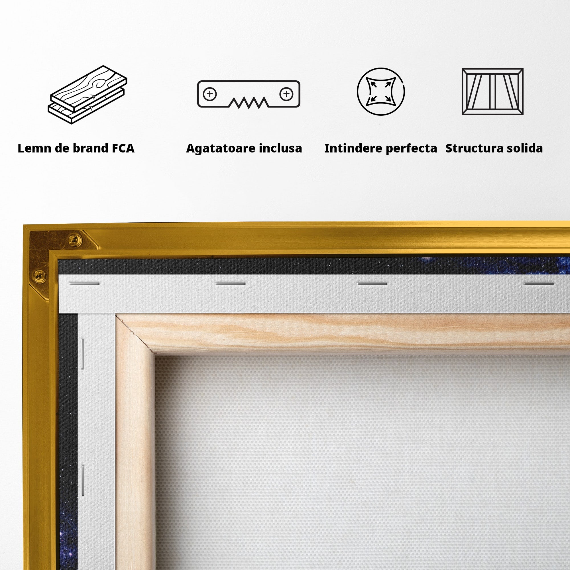 Tablou Canvas Premium LuxCanva® S1017, Galaxia Andromeda, Galaxie, Spatiu, Univers, Astronomie, Dormitor, Birou, Culori Vibrante