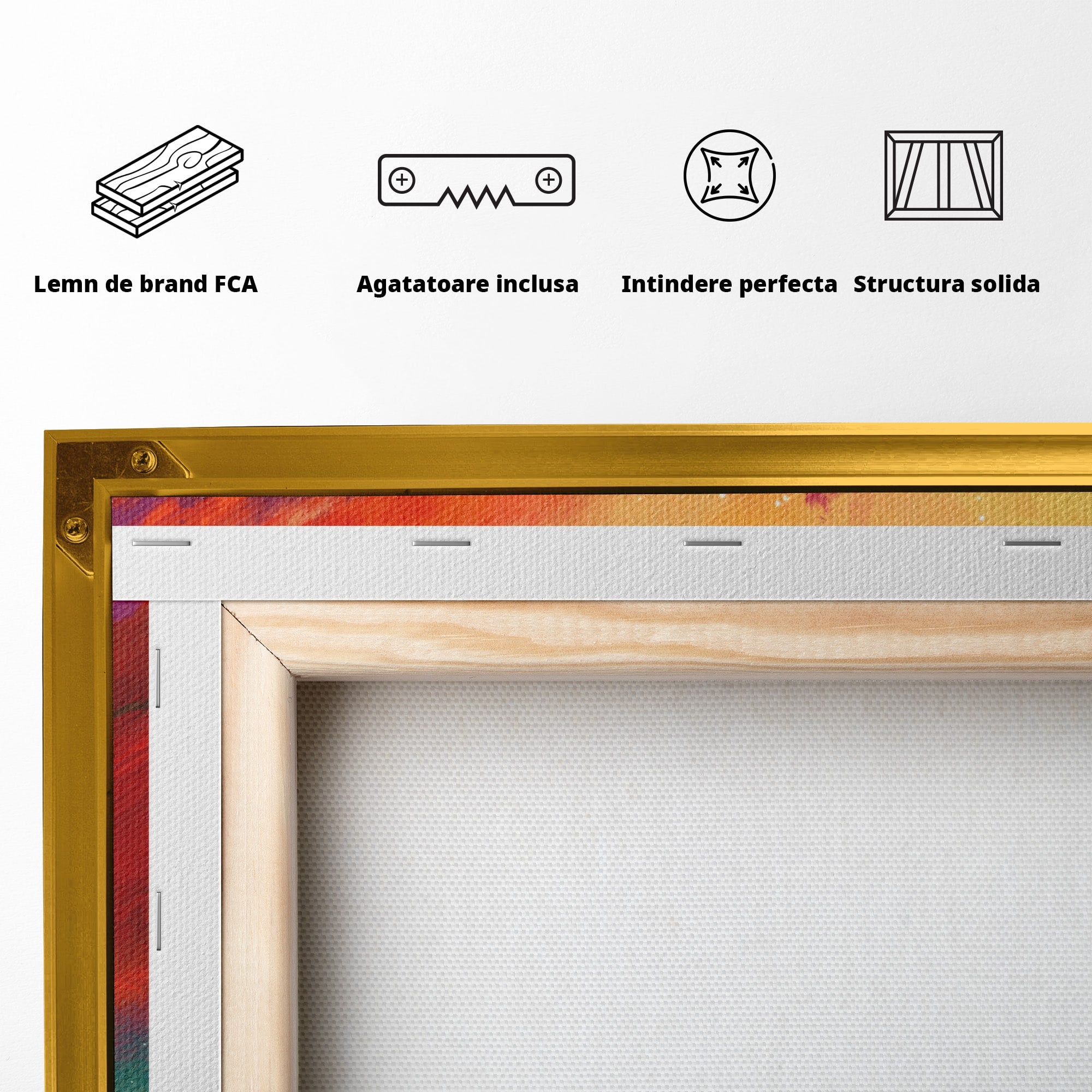 Tablou Canvas Premium LuxCanva® S1019, Visul Ciclistului, Ciclist, Apus, Peisaj, Cer, Dormitor, Culori Vibrante