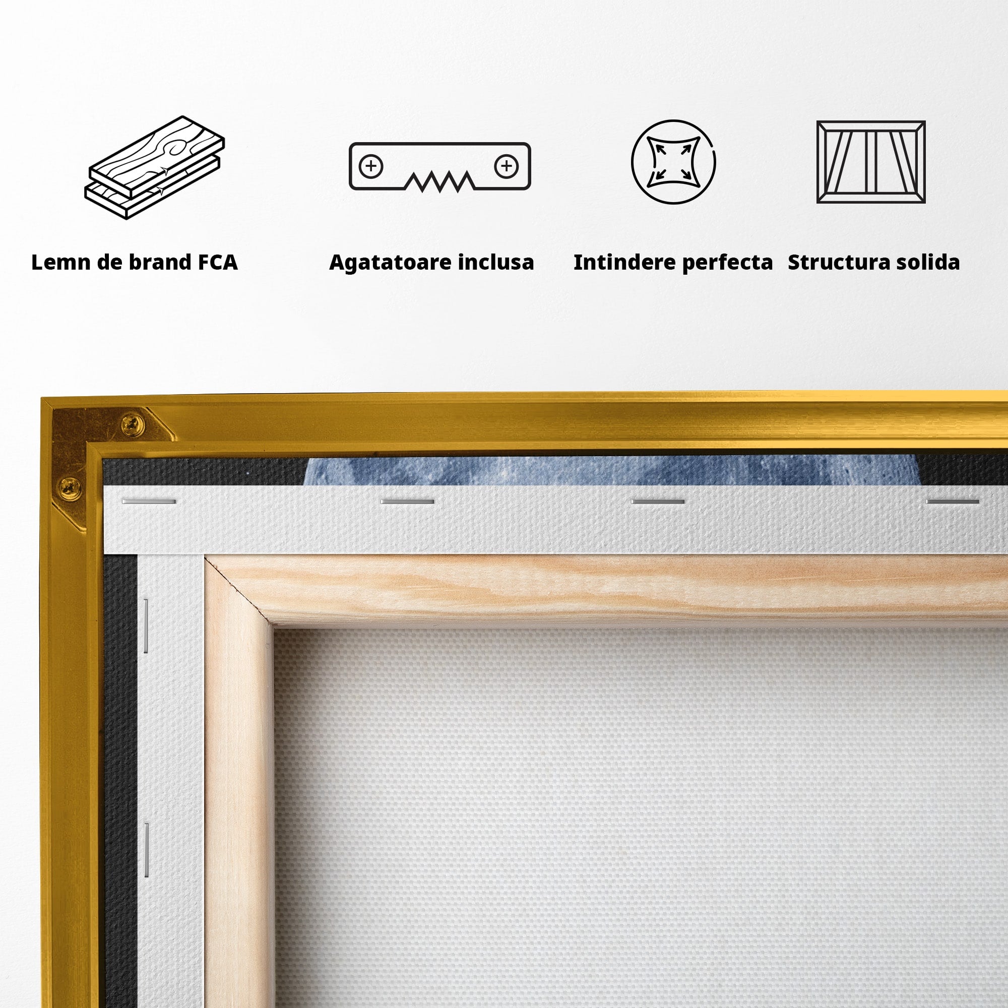 Tablou Canvas Premium LuxCanva® S1023, Luna Reflecție, Luna, Reflexie, Apa, Noapte, Cer, Dormitor, Culori Vibrante
