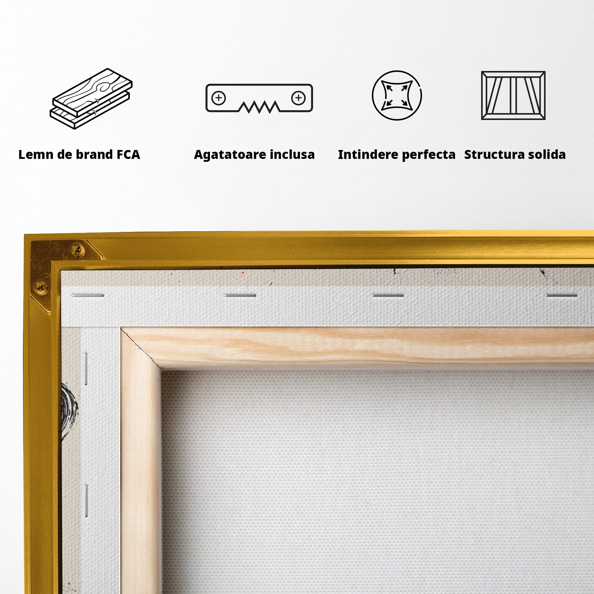 Tablou Canvas Premium LuxCanva® S1027, Planeta Rosie, Planeta, Spatiu, Abstract, Modern, Birou, Culori Vibrante