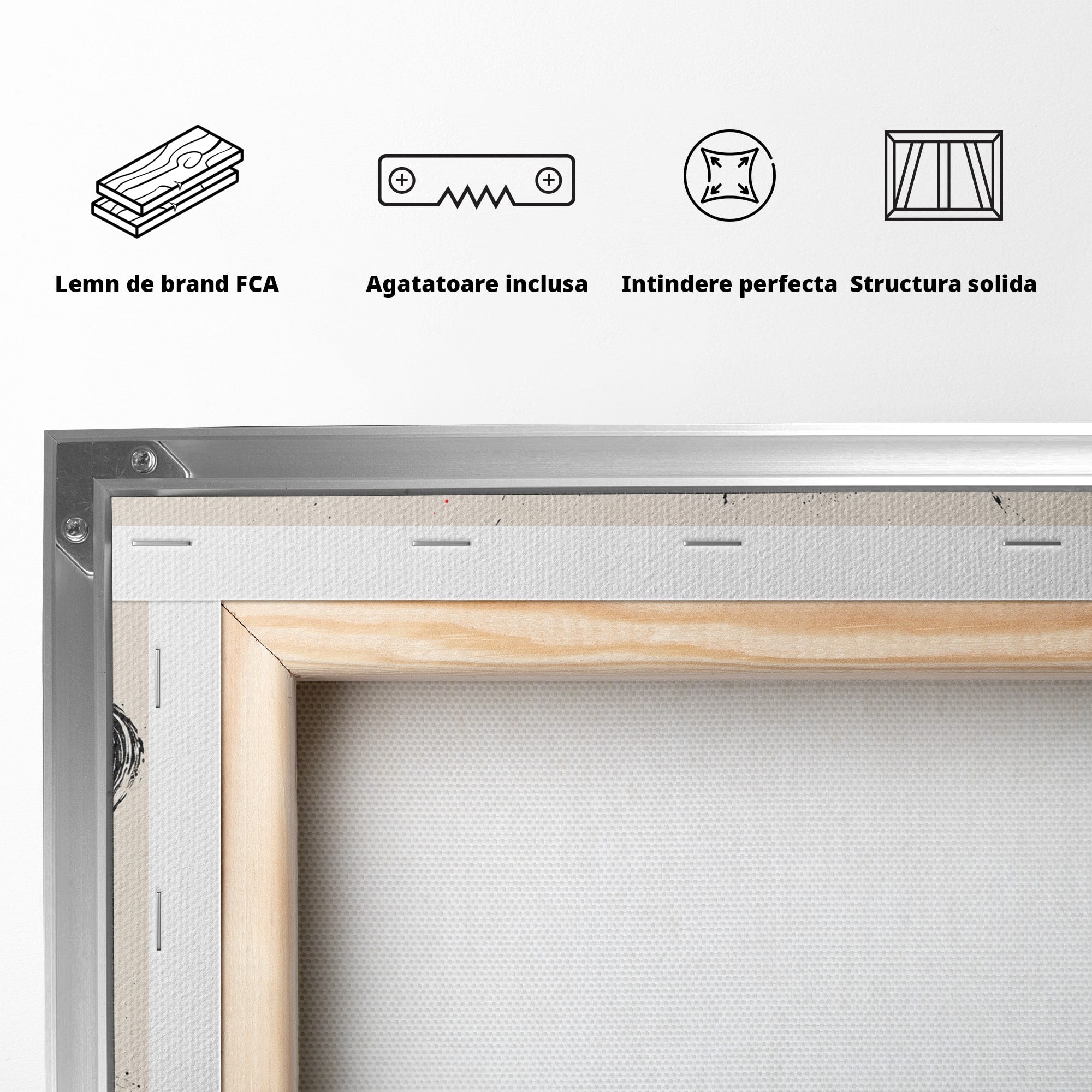 Tablou Canvas Premium LuxCanva® S1027, Planeta Rosie, Planeta, Spatiu, Abstract, Modern, Birou, Culori Vibrante