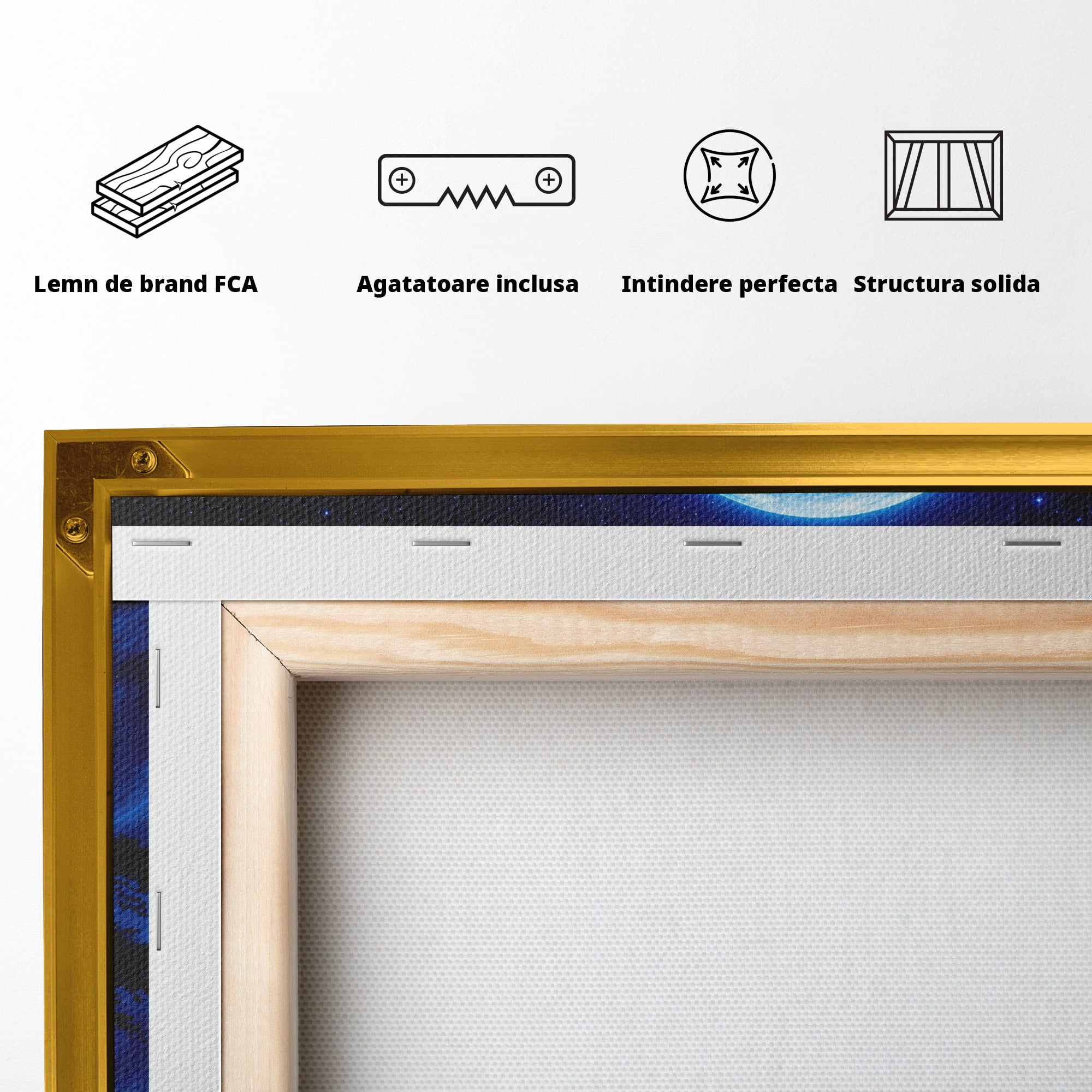 Tablou Canvas Premium LuxCanva® S1040, Luna Albastra, Luna, Copac, Noapte, Peisaj, Living, Culori Vibrante