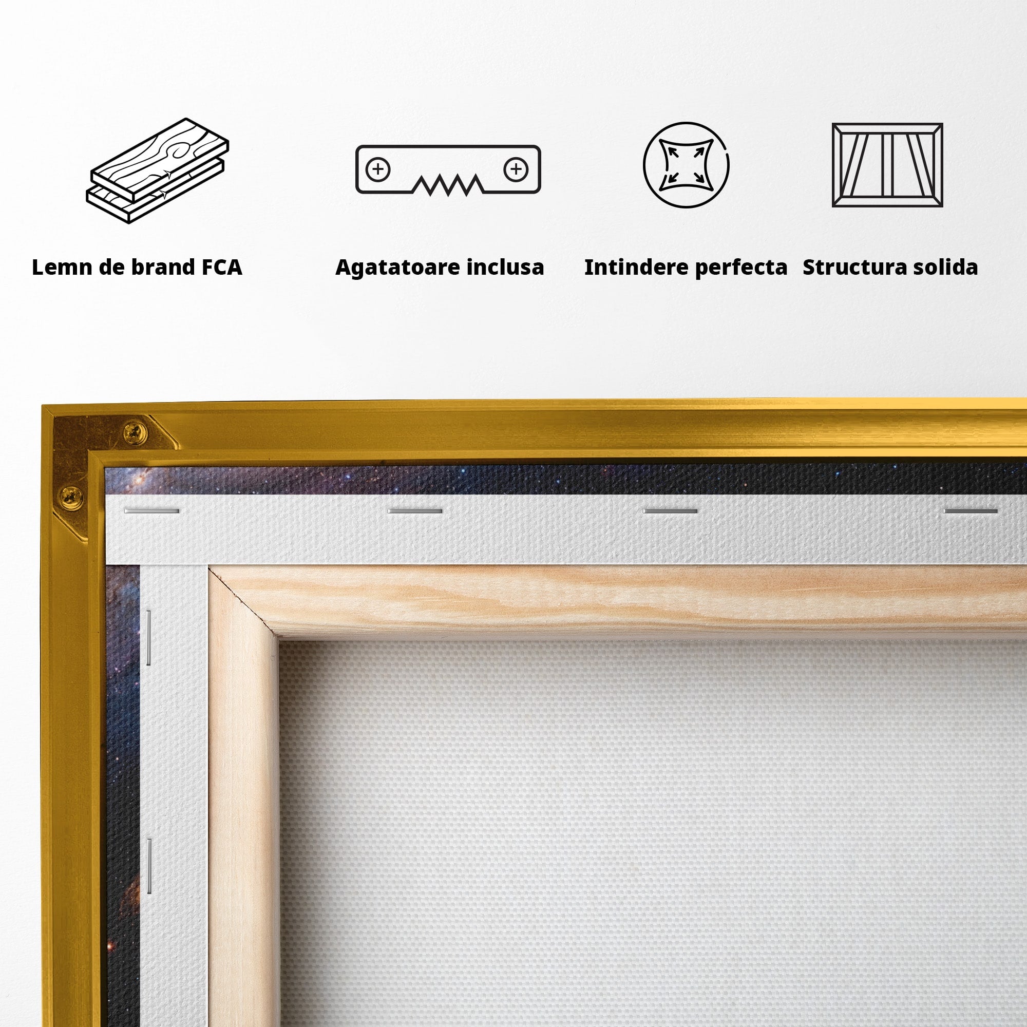 Tablou Canvas Premium LuxCanva® S1041, Galaxia Misterioasa, Galaxie, Spatiu, Univers, Stele, Dormitor, Birou, Culori Vibrante