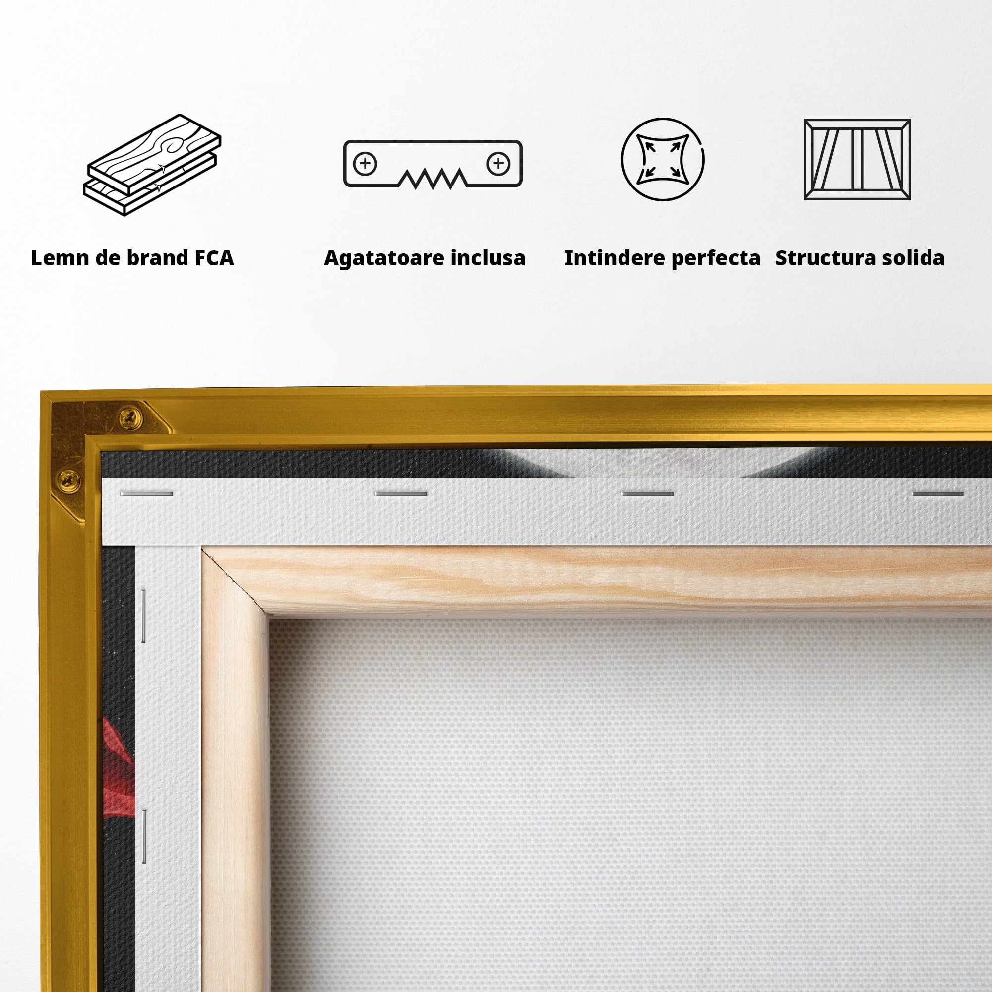 Tablou Canvas Premium LuxCanva® S1043, Femeie Citind Sub Luna Plina, Femeie, Luna, Citit, Noapte, Dormitor, Culori Vibrante