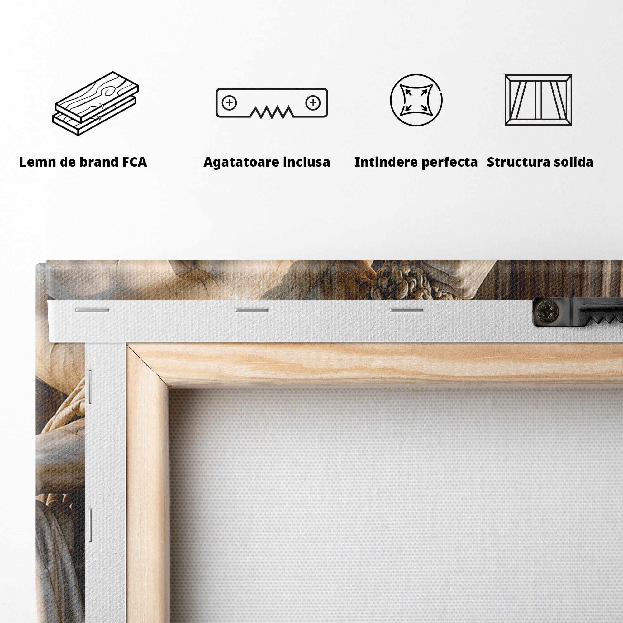 Tablou Canvas Premium LuxCanva® T1004, Ganditorul Antic, Sculptura, Filosofie, Istorie, Antichitate, Arta Clasica, Birou, Culori Vibrante