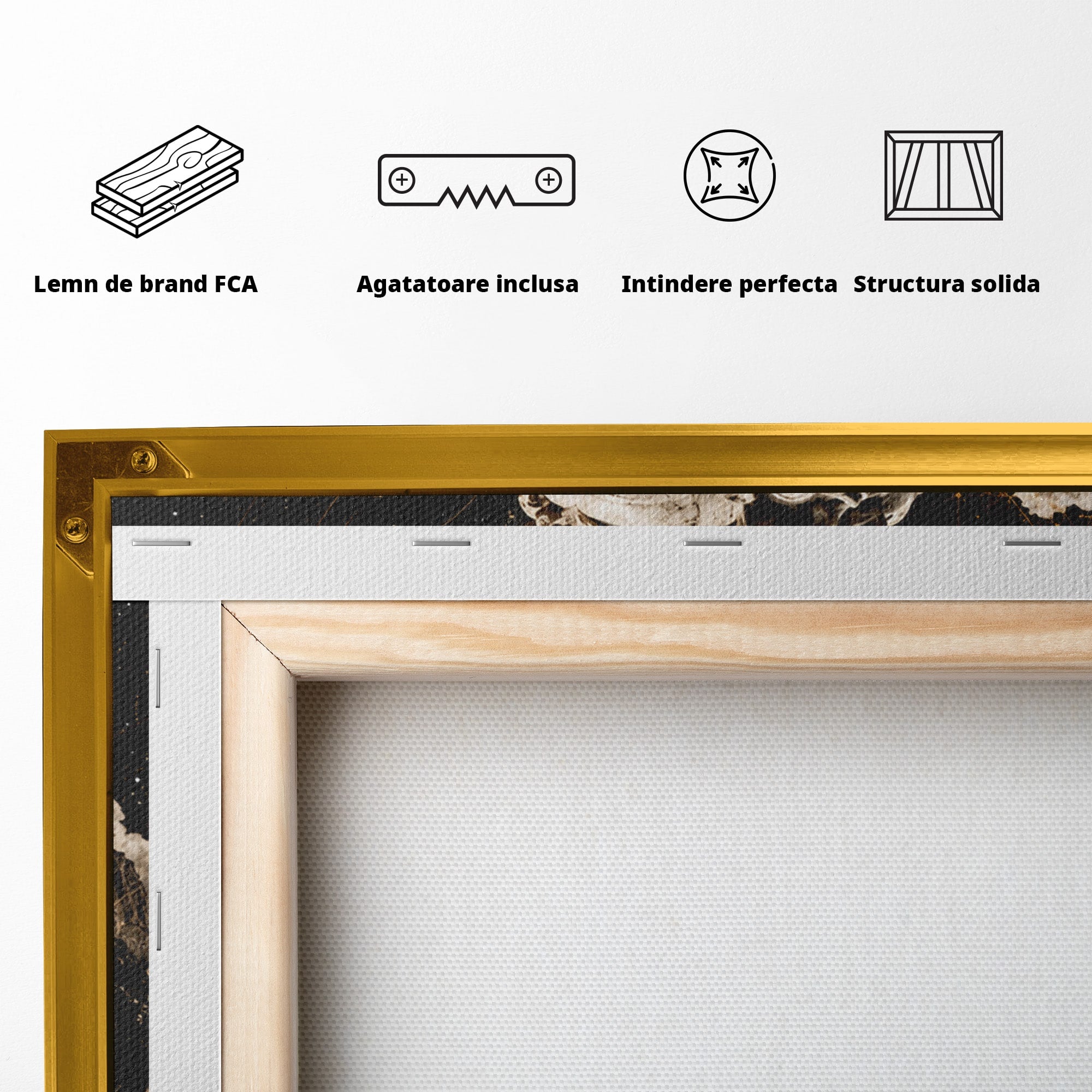 Tablou Canvas Premium LuxCanva® T1005, Zeul Antic, Sculptura, Zeitate, Sculptura, Mitologie, Univers, Dormitor, Living, Culori Vibrante