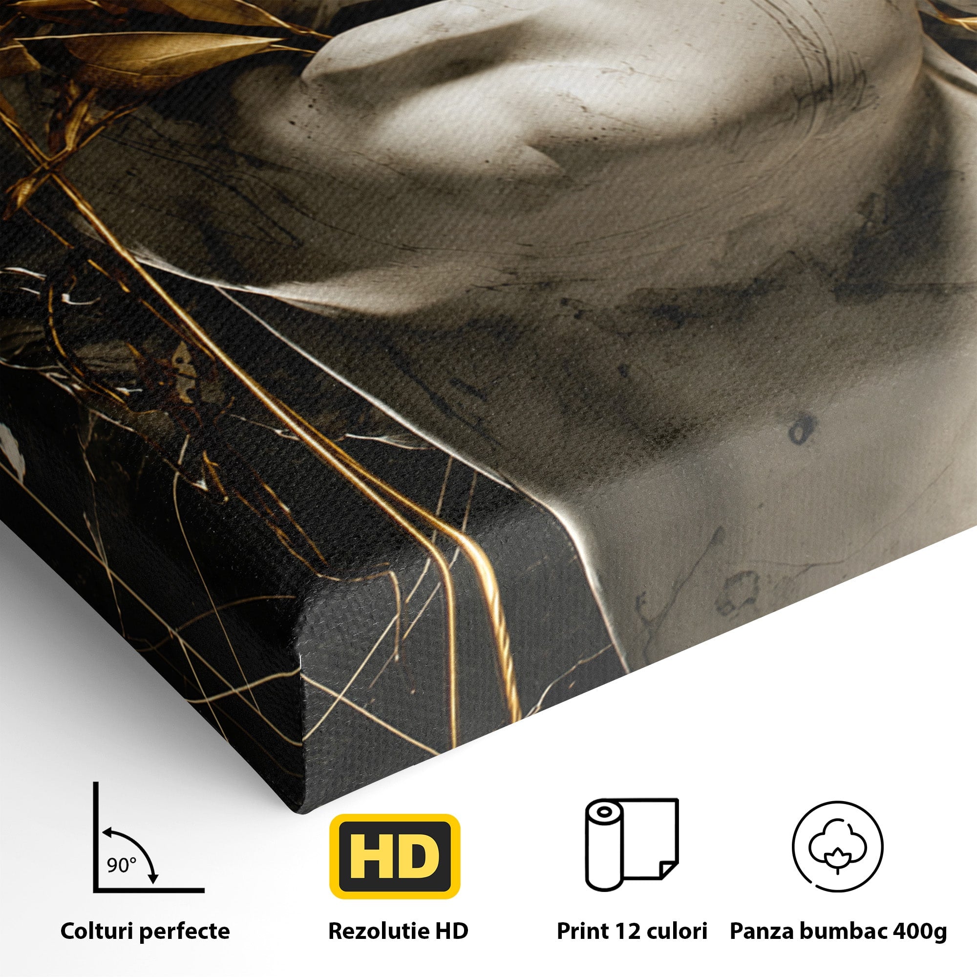 Tablou Canvas Premium LuxCanva® T1007, Zeita de Marmura, Zeita, Marmura, Arta Clasica, Eleganta, Dormitor, Culori Vibrante