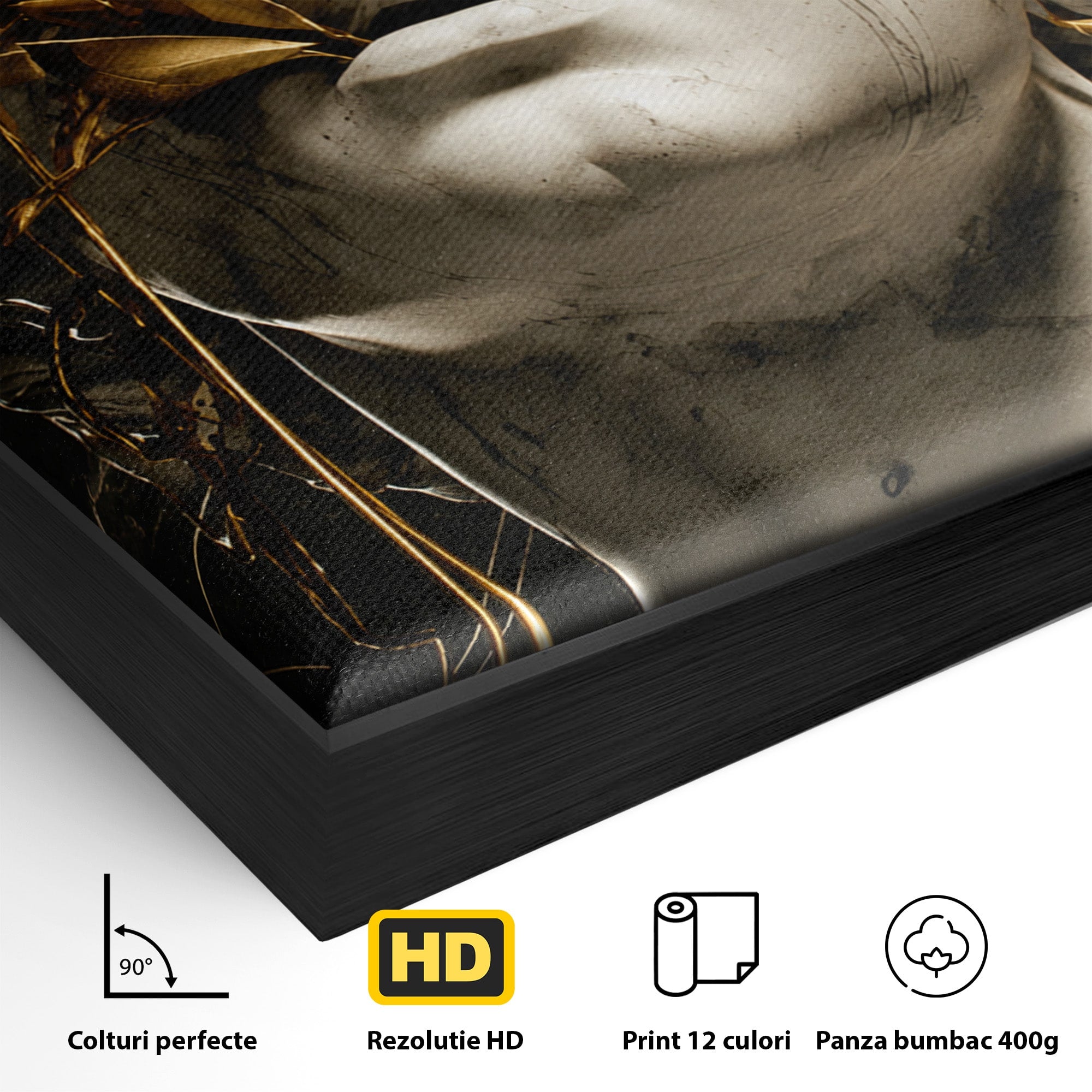 Tablou Canvas Premium LuxCanva® T1007, Zeita de Marmura, Zeita, Marmura, Arta Clasica, Eleganta, Dormitor, Culori Vibrante
