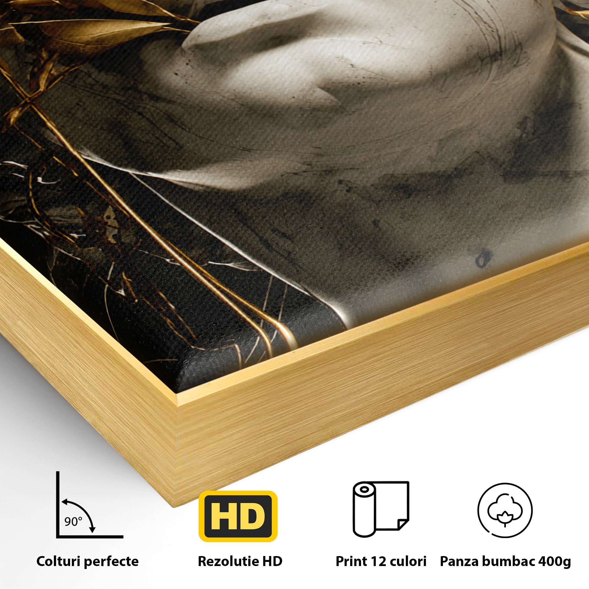 Tablou Canvas Premium LuxCanva® T1007, Zeita de Marmura, Zeita, Marmura, Arta Clasica, Eleganta, Dormitor, Culori Vibrante
