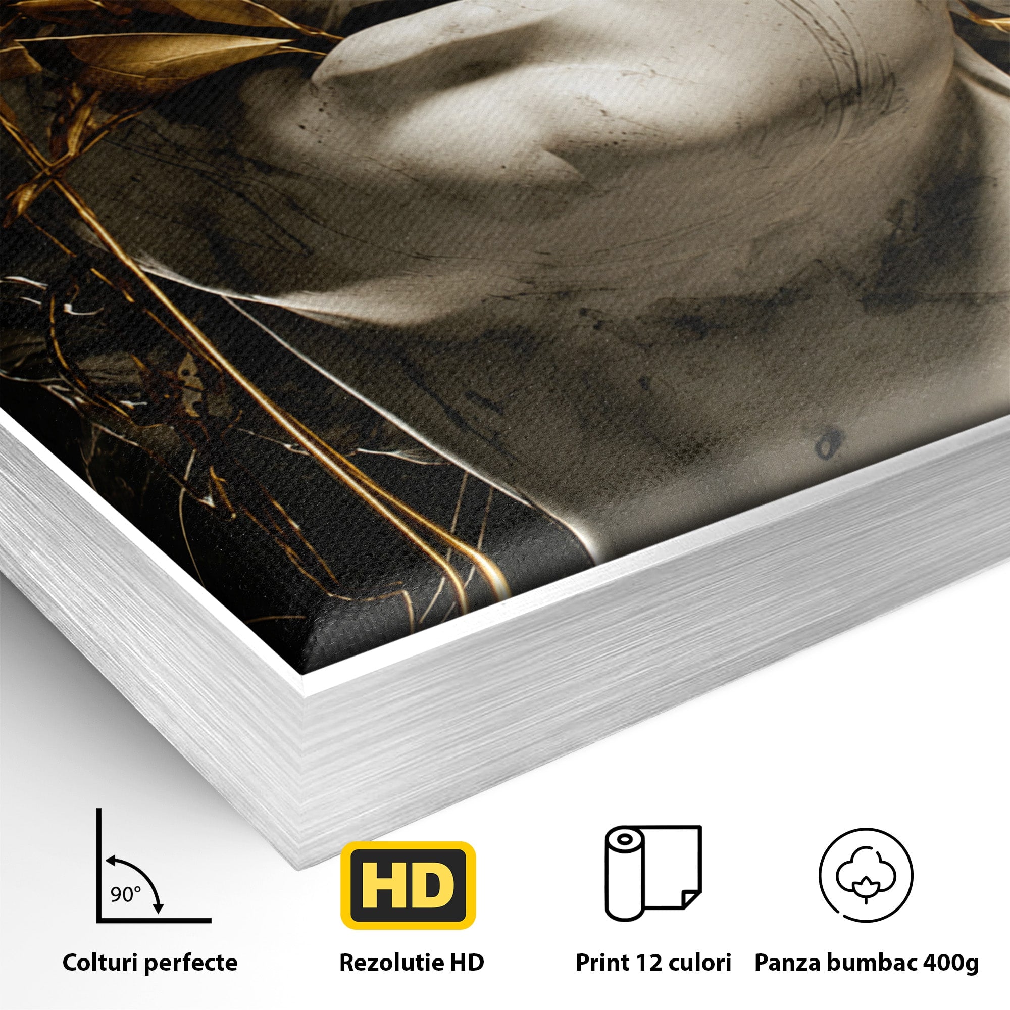 Tablou Canvas Premium LuxCanva® T1007, Zeita de Marmura, Zeita, Marmura, Arta Clasica, Eleganta, Dormitor, Culori Vibrante