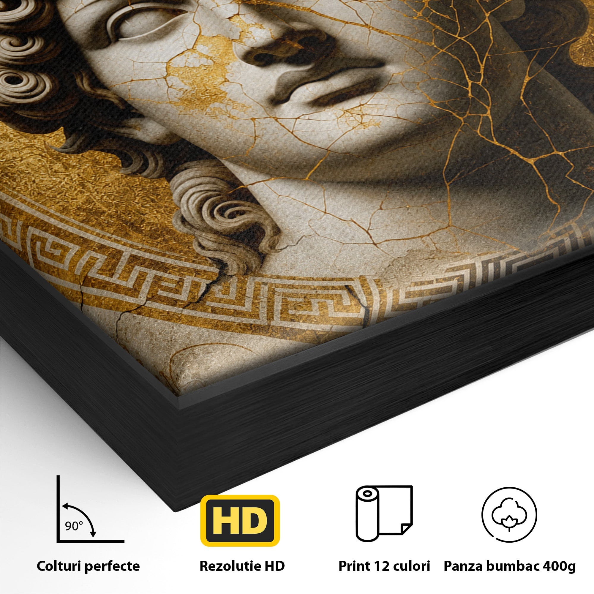 Tablou Canvas Premium LuxCanva® T1011, Bustul Antic, Bust, Antic, Arta Clasica, Textura, Birou, Living, Culori Vibrante