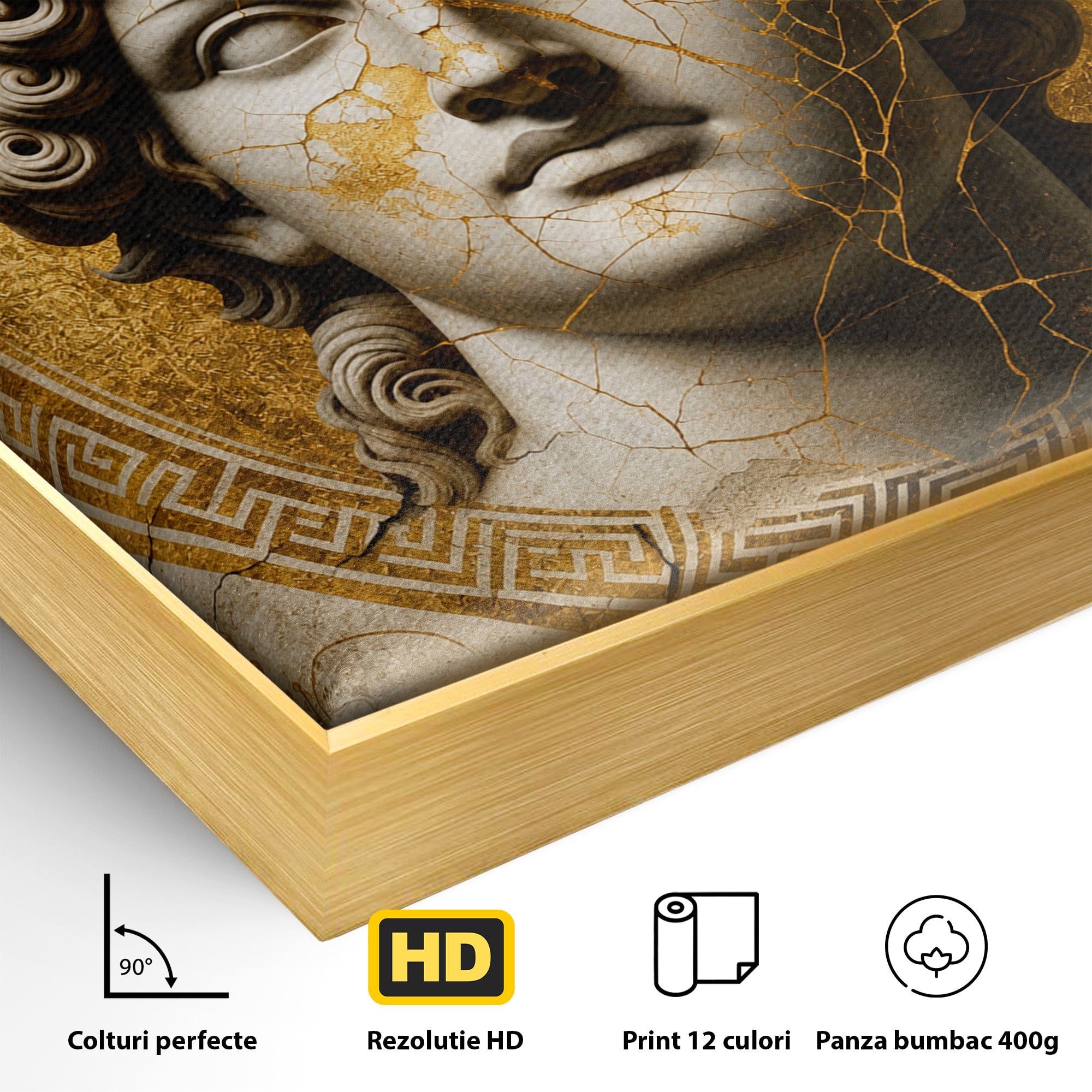 Tablou Canvas Premium LuxCanva® T1011, Bustul Antic, Bust, Antic, Arta Clasica, Textura, Birou, Living, Culori Vibrante