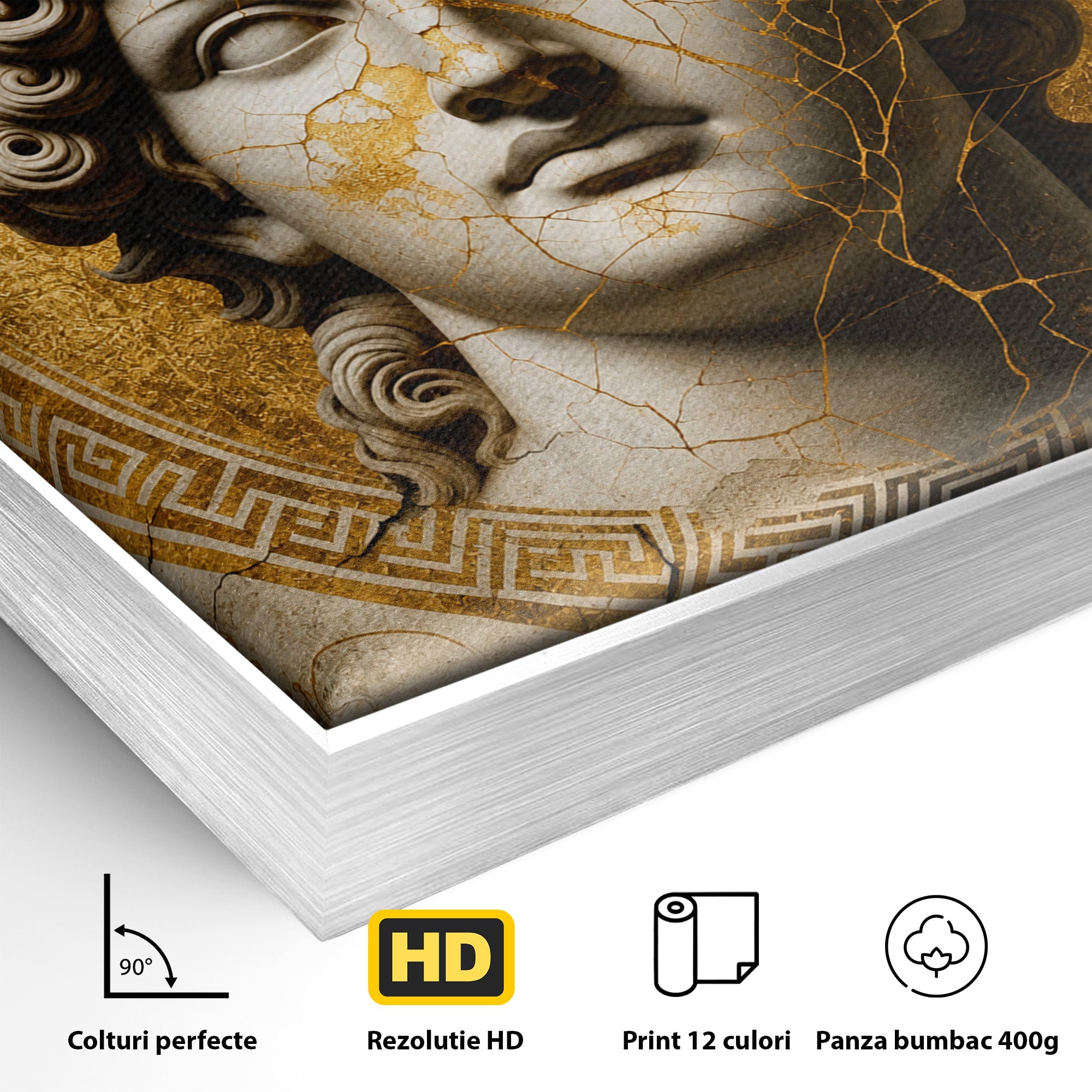 Tablou Canvas Premium LuxCanva® T1011, Bustul Antic, Bust, Antic, Arta Clasica, Textura, Birou, Living, Culori Vibrante