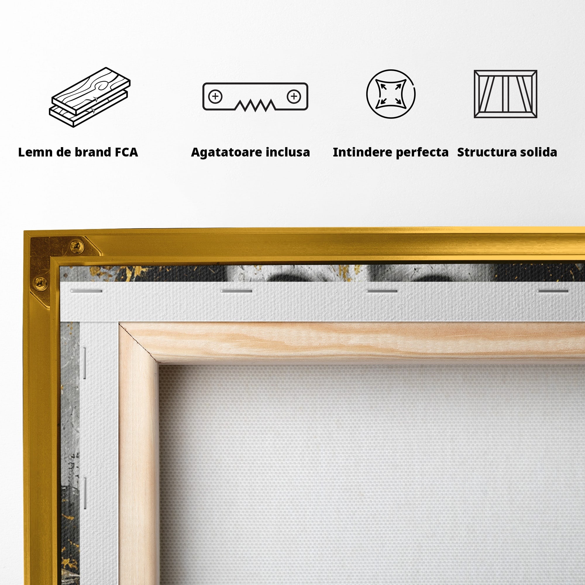 Tablou Canvas Premium LuxCanva® T1013, Zeita Antica, Zeita, Antic, Statuie, Arta, Dormitor, Culori Vibrante
