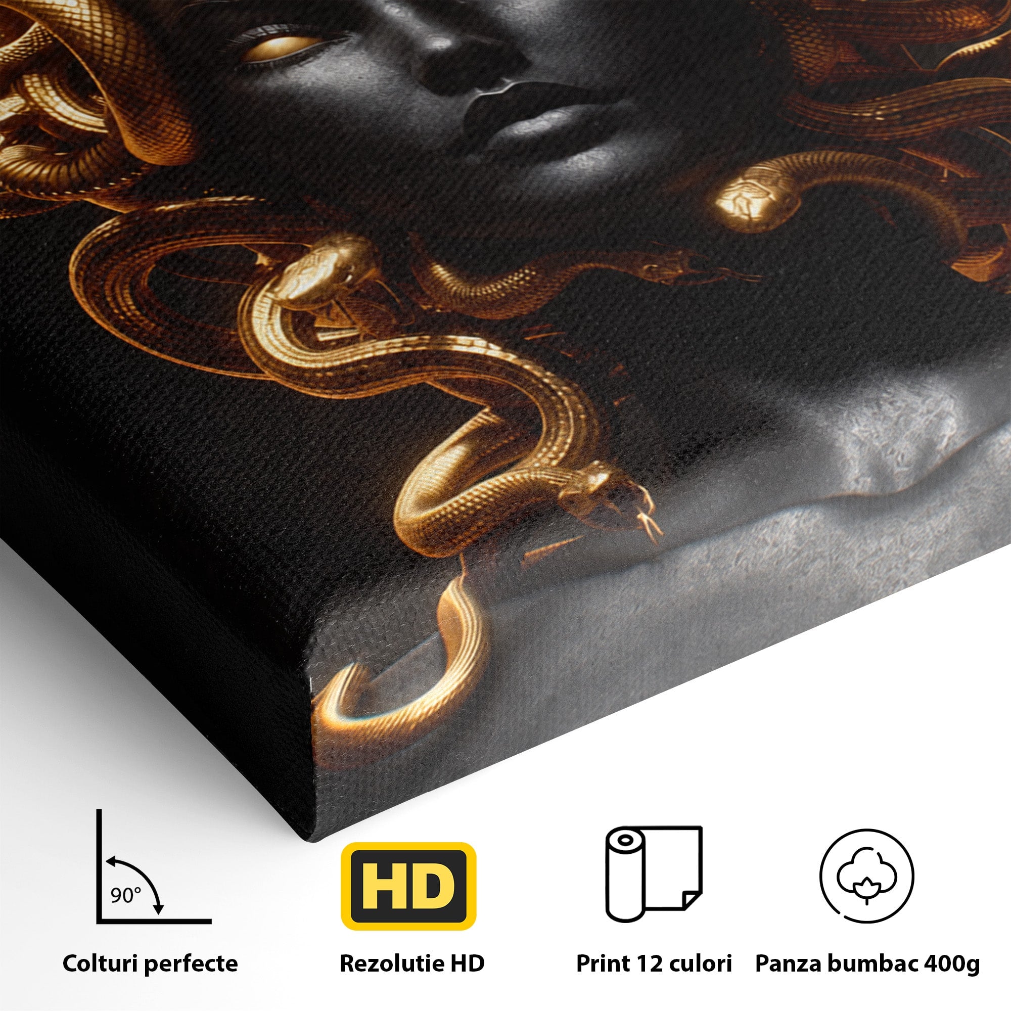 Tablou Canvas Premium LuxCanva® T1022, Meduza Mitologica, Mitologie, Meduza, Portret, Dormitor, Living, Culori Vibrante