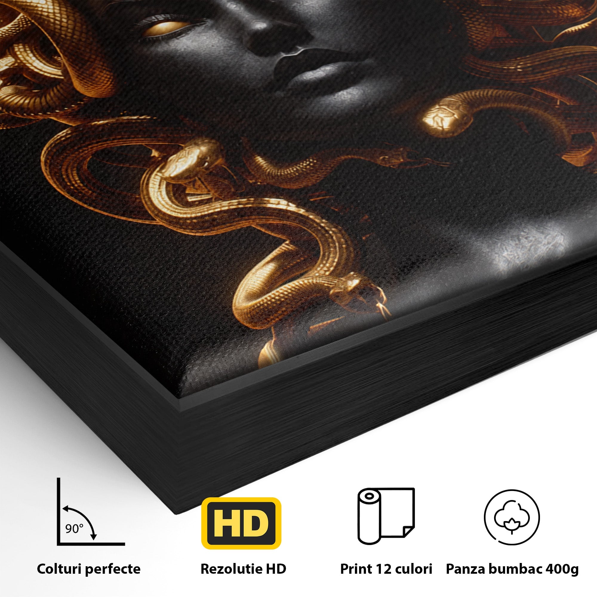 Tablou Canvas Premium LuxCanva® T1022, Meduza Mitologica, Mitologie, Meduza, Portret, Dormitor, Living, Culori Vibrante