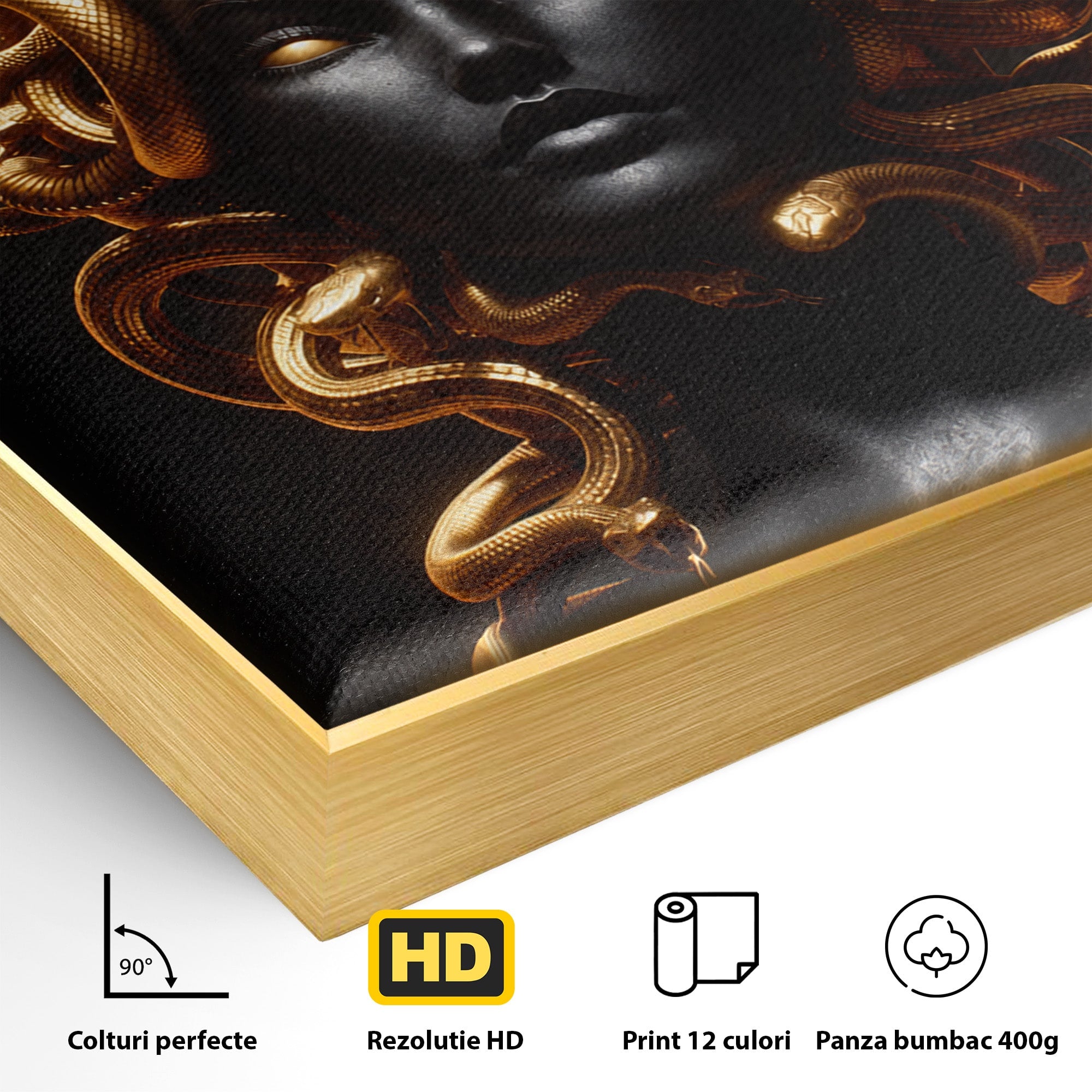 Tablou Canvas Premium LuxCanva® T1022, Meduza Mitologica, Mitologie, Meduza, Portret, Dormitor, Living, Culori Vibrante