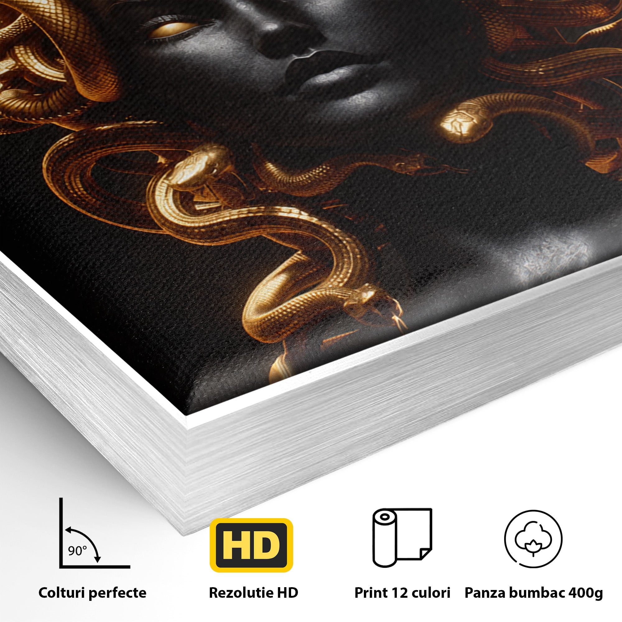 Tablou Canvas Premium LuxCanva® T1022, Meduza Mitologica, Mitologie, Meduza, Portret, Dormitor, Living, Culori Vibrante