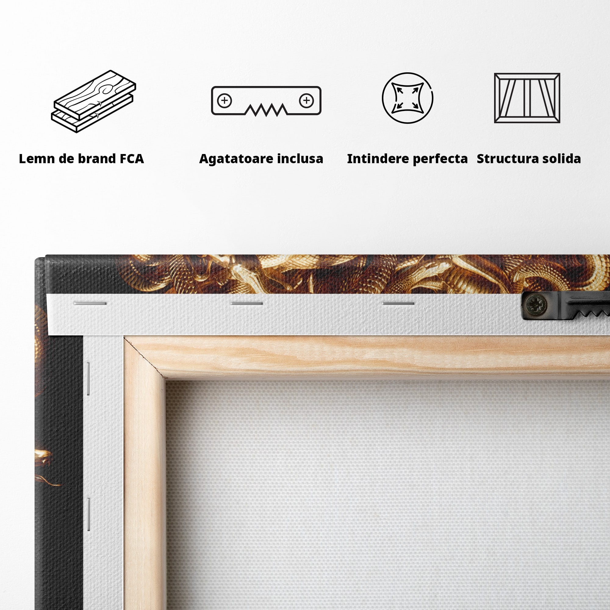 Tablou Canvas Premium LuxCanva® T1022, Meduza Mitologica, Mitologie, Meduza, Portret, Dormitor, Living, Culori Vibrante