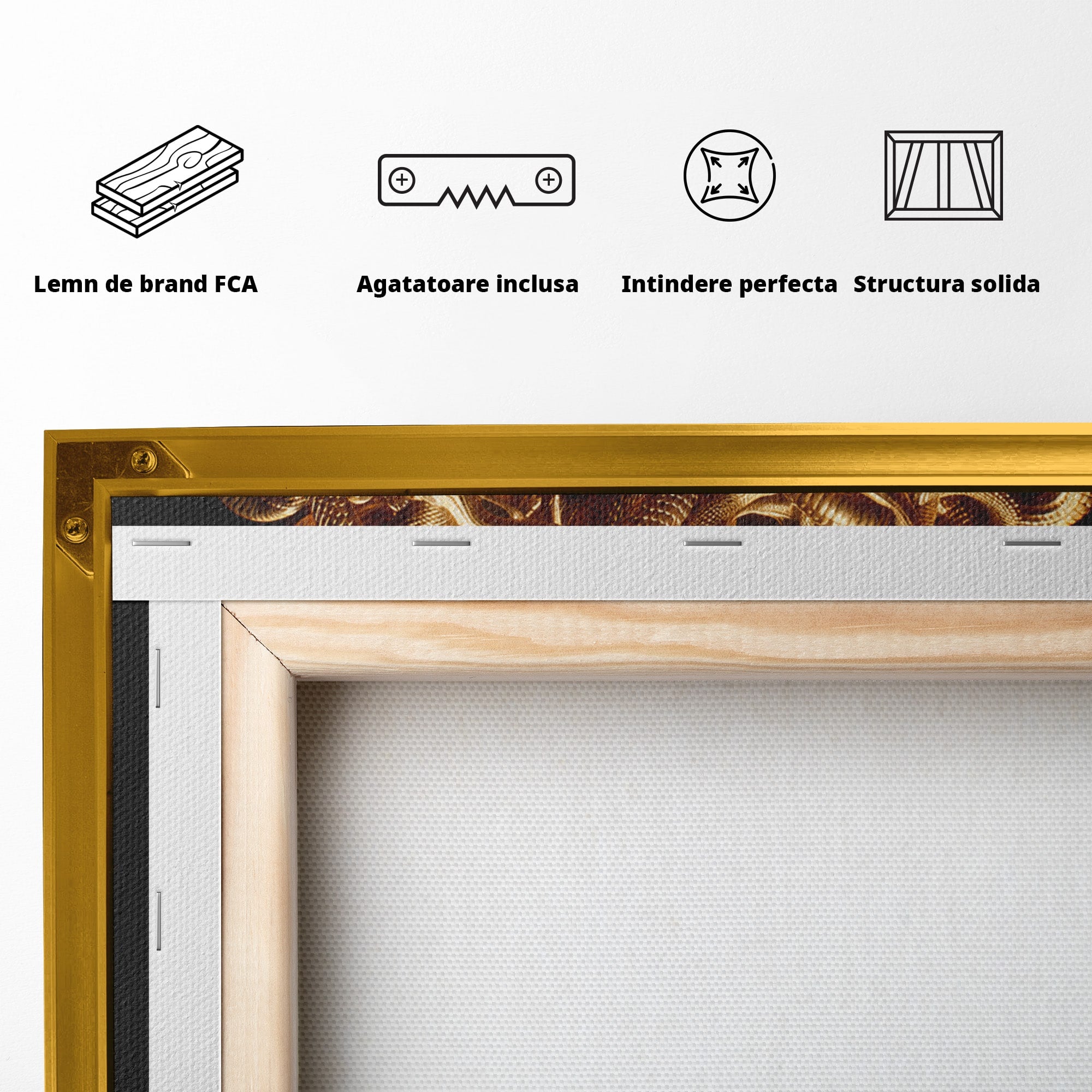 Tablou Canvas Premium LuxCanva® T1022, Meduza Mitologica, Mitologie, Meduza, Portret, Dormitor, Living, Culori Vibrante