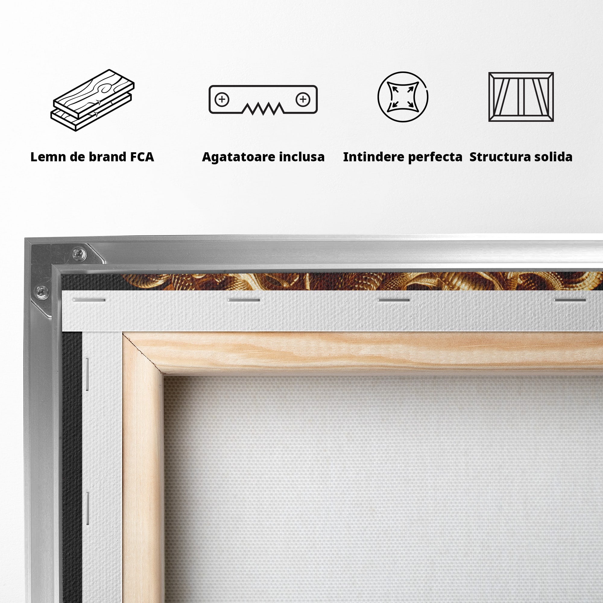 Tablou Canvas Premium LuxCanva® T1022, Meduza Mitologica, Mitologie, Meduza, Portret, Dormitor, Living, Culori Vibrante