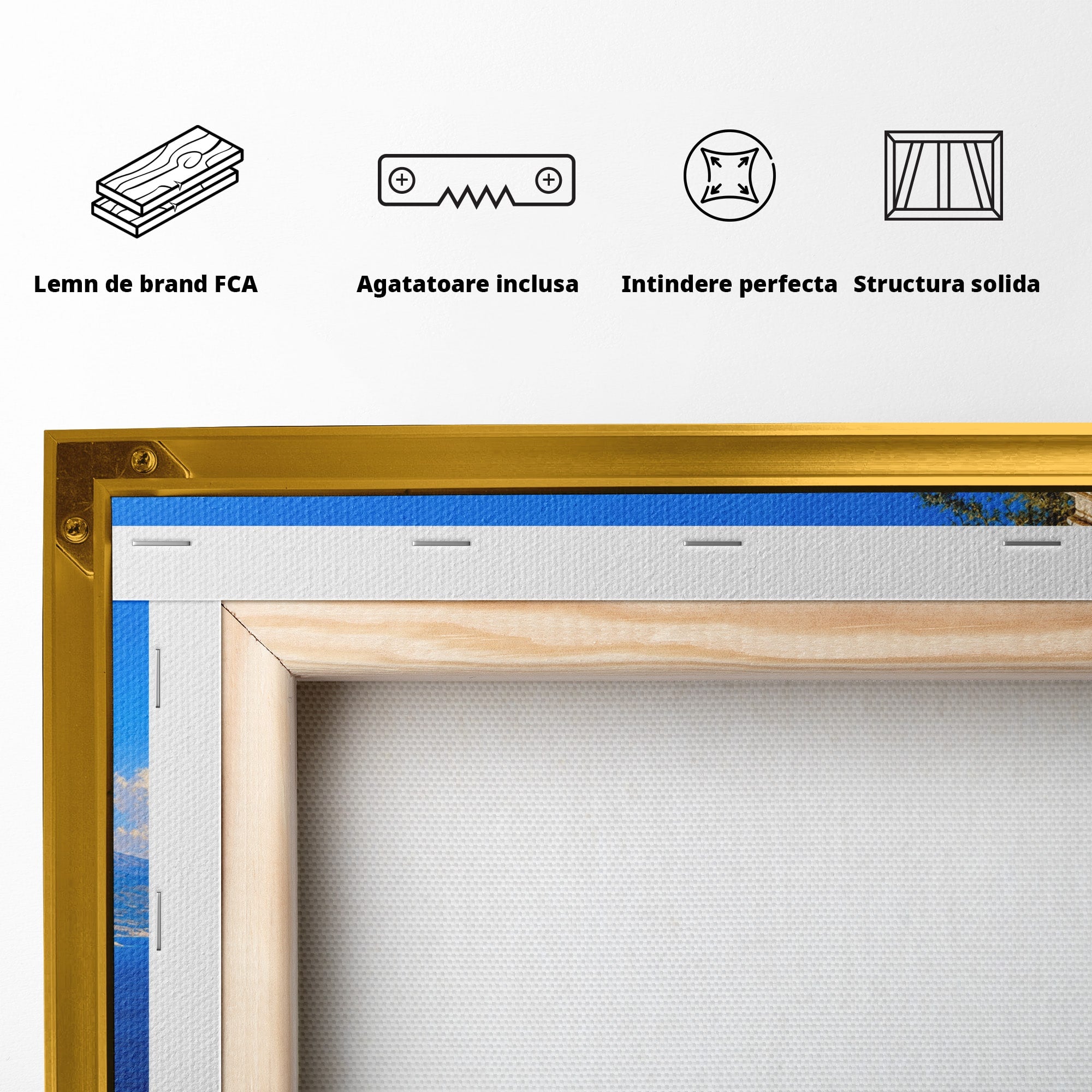 Tablou Canvas Premium LuxCanva® T1026, Strajer Grec Antic, Grecia, Peisaj, Munte, Istorie, Living, Culori Vibrante