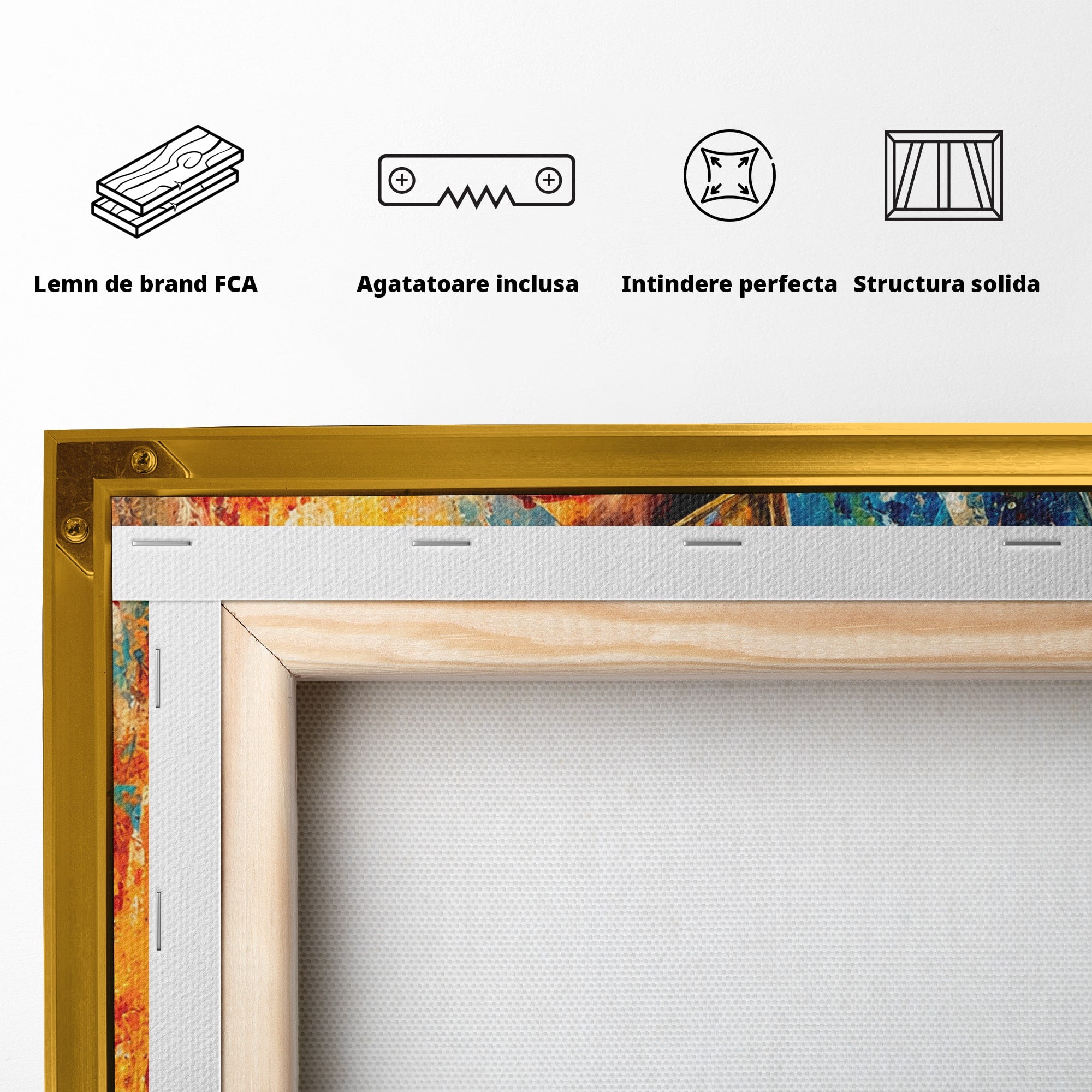 Tablou Canvas Premium LuxCanva® T1030, Razboinicul Spartan, Razboinic, Spartan, Istoric, Arta, Dormitor, Living, Culori Vibrante