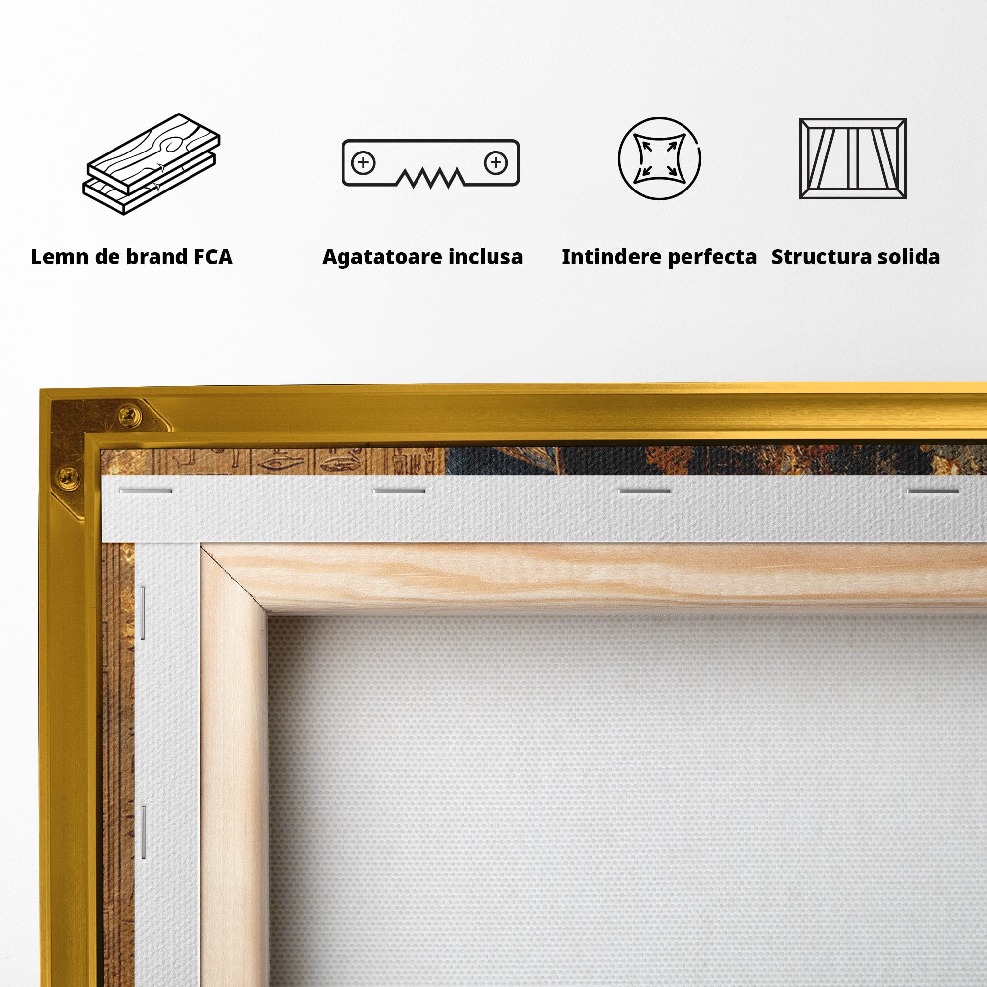 Tablou Canvas Premium LuxCanva® T1040, Anubis in Splendoare Antica, Anubis, Egipt, Mitologie, Istorie, Birou, Culori Vibrante