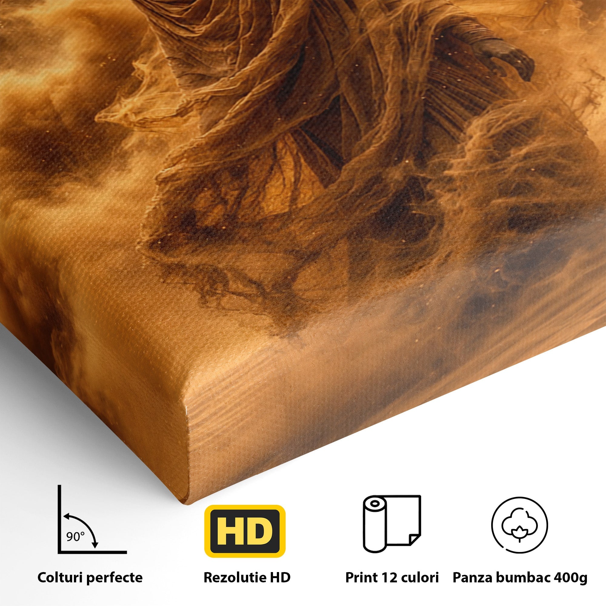 Tablou Canvas Premium LuxCanva® T1041, Faraonul Desertului, Faraon, Desert, Egipt, Istorie, Living, Culori Vibrante