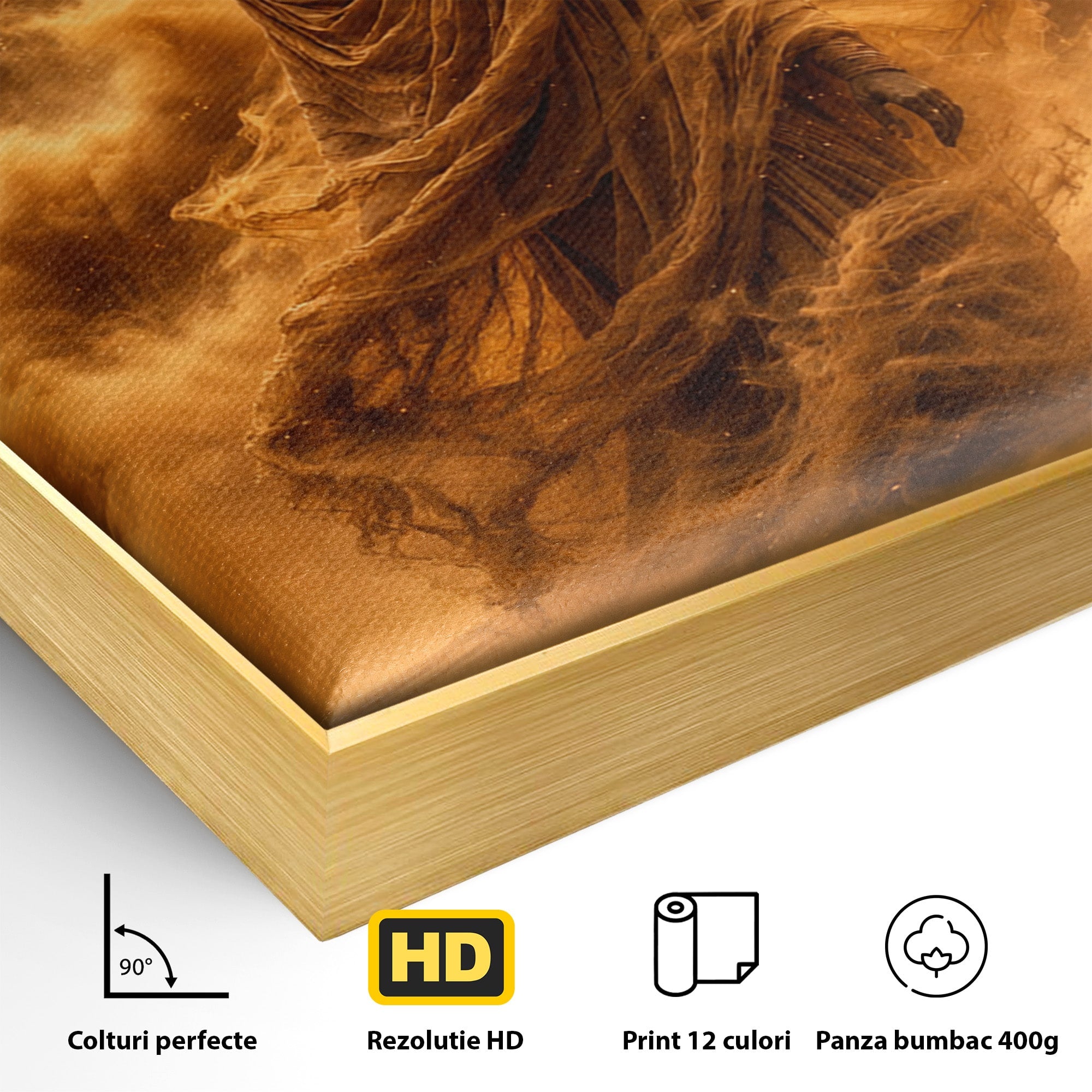 Tablou Canvas Premium LuxCanva® T1041, Faraonul Desertului, Faraon, Desert, Egipt, Istorie, Living, Culori Vibrante