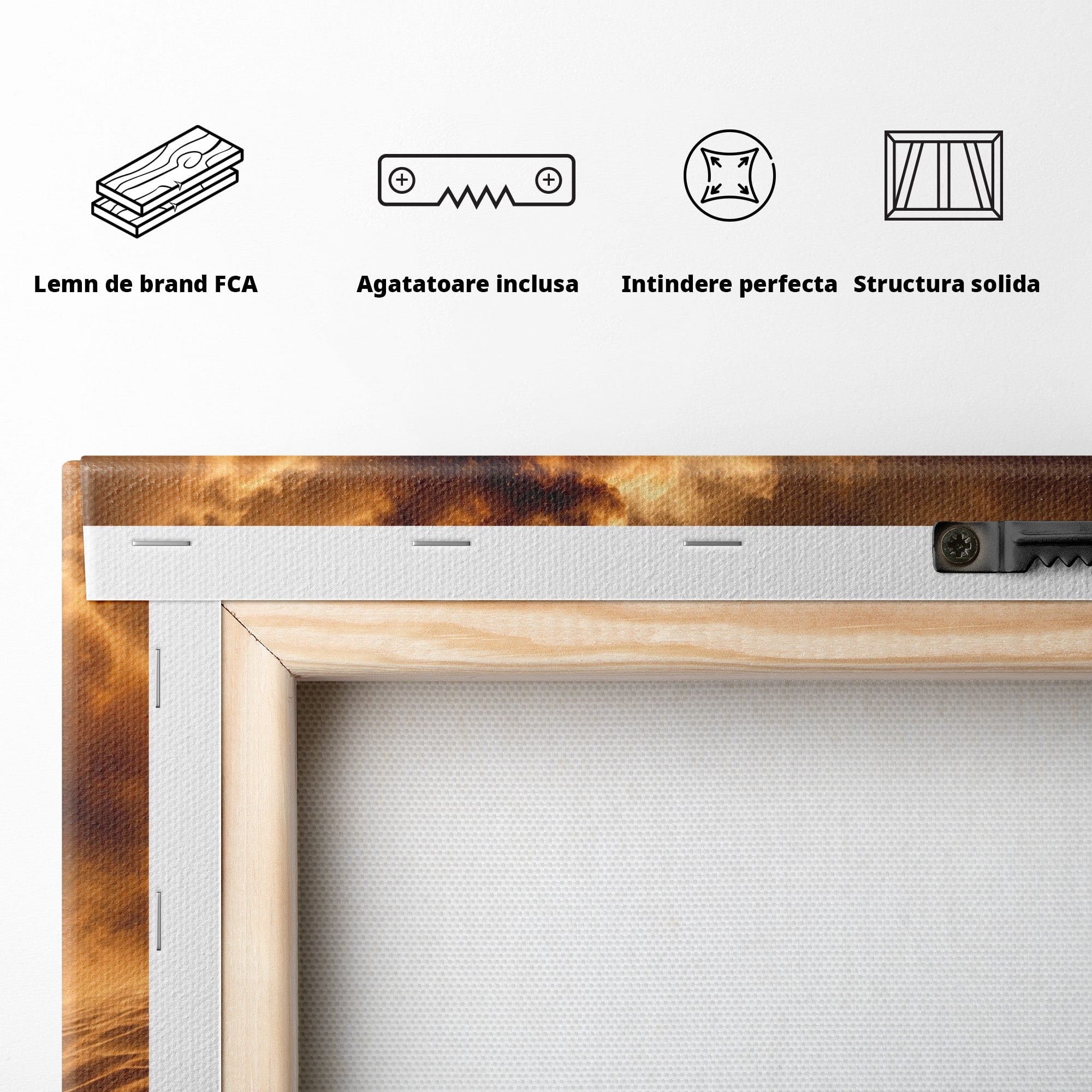 Tablou Canvas Premium LuxCanva® T1041, Faraonul Desertului, Faraon, Desert, Egipt, Istorie, Living, Culori Vibrante