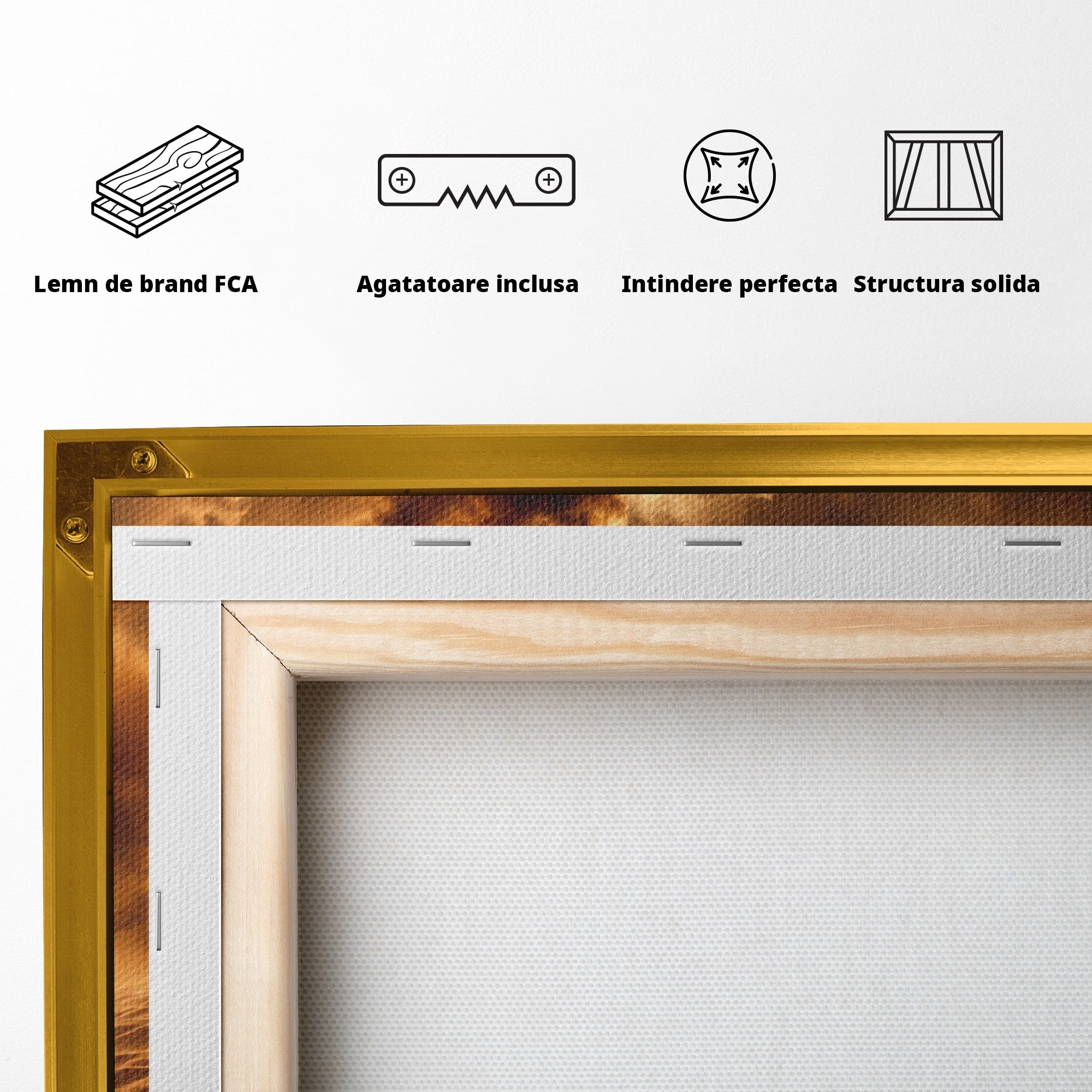 Tablou Canvas Premium LuxCanva® T1041, Faraonul Desertului, Faraon, Desert, Egipt, Istorie, Living, Culori Vibrante