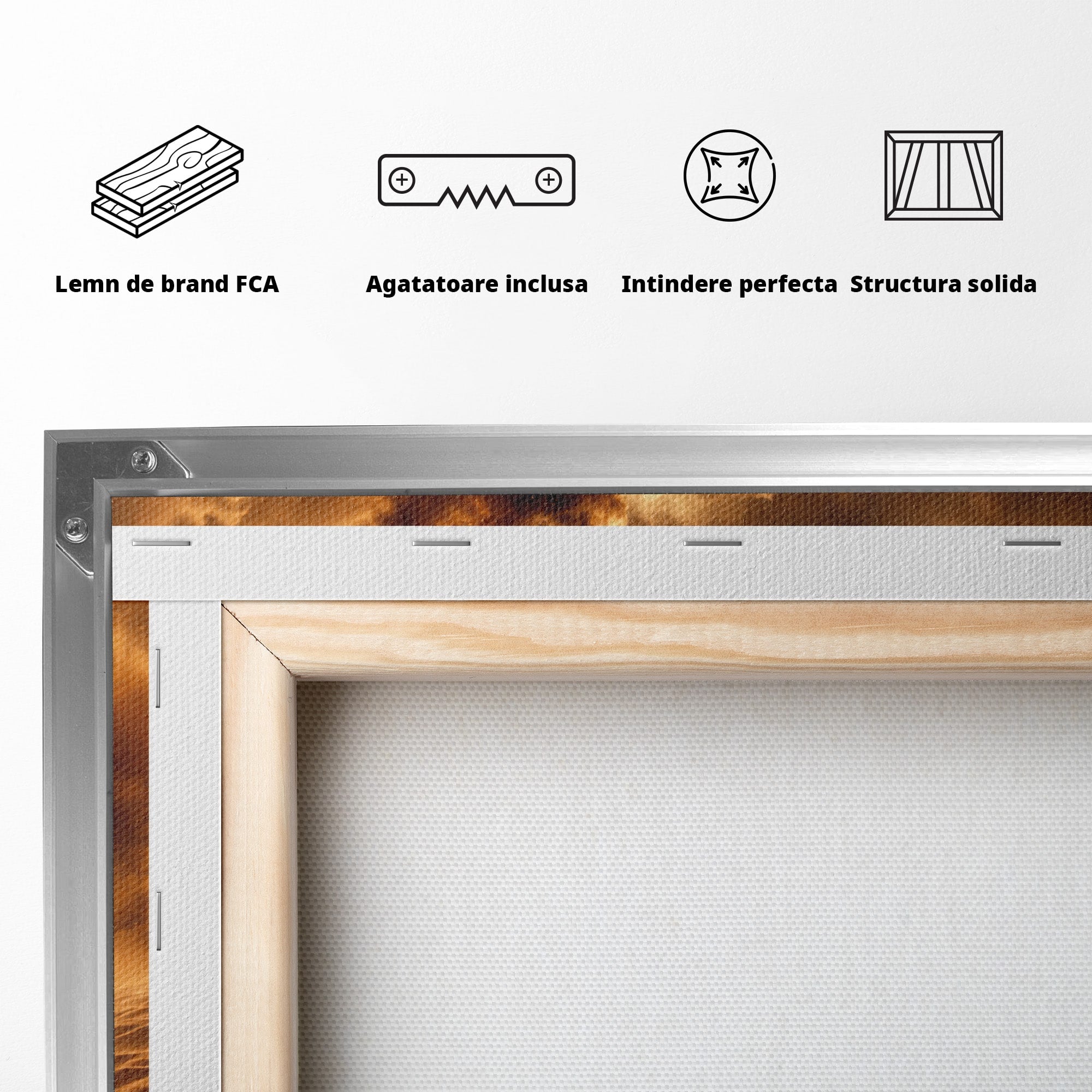 Tablou Canvas Premium LuxCanva® T1041, Faraonul Desertului, Faraon, Desert, Egipt, Istorie, Living, Culori Vibrante