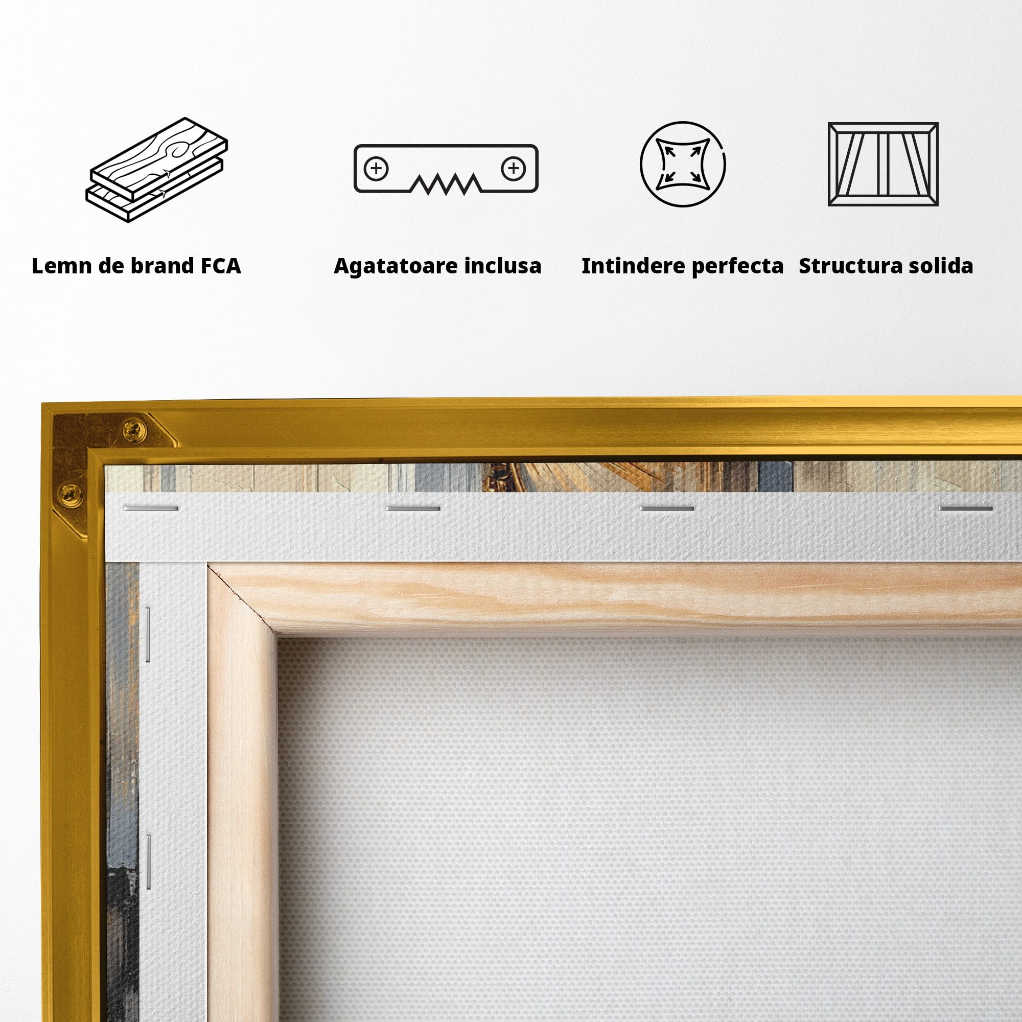 Tablou Canvas Premium LuxCanva® T1049, Femeia Faraonului, Regina, Egipt, Portret, Istorie, Dormitor, Culori Vibrante