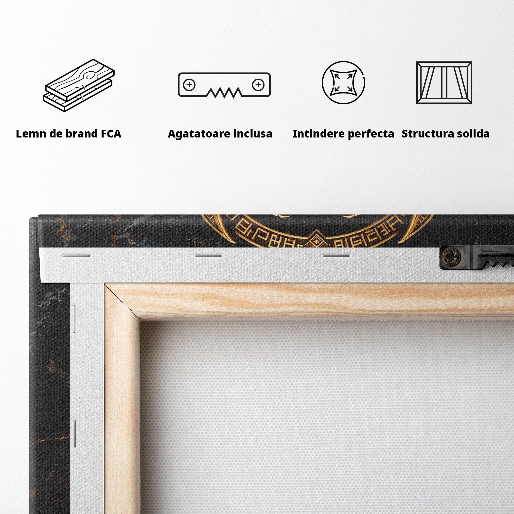 Tablou Canvas Premium LuxCanva® T1059, Scarab Auriu, Scarab, Egiptian, Simbolism, Arta, Birou, Culori Vibrante