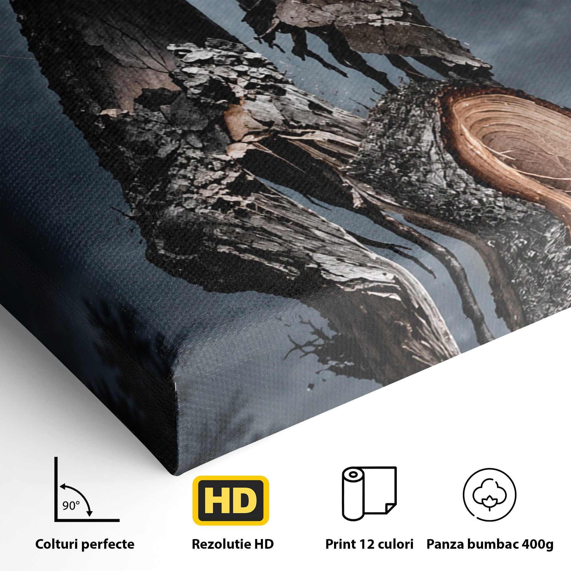 Tablou Canvas Premium LuxCanva® U1002, Imbratisarea Naturii, Maini, Fluturi, Natura, Magie, Living, Culori Vibrante