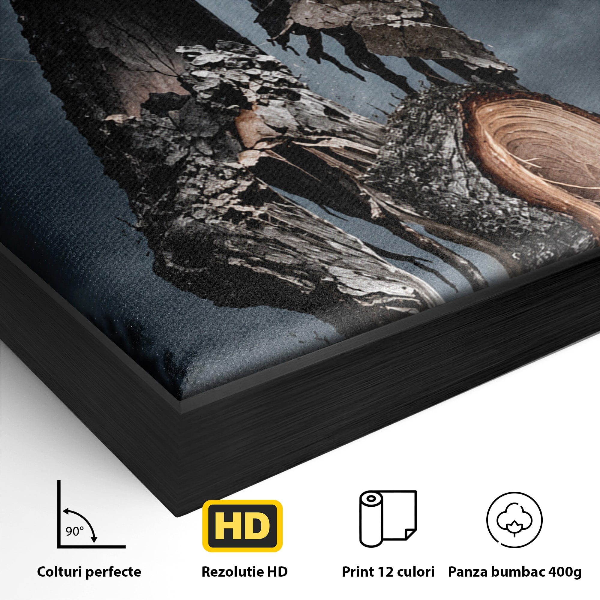 Tablou Canvas Premium LuxCanva® U1002, Imbratisarea Naturii, Maini, Fluturi, Natura, Magie, Living, Culori Vibrante