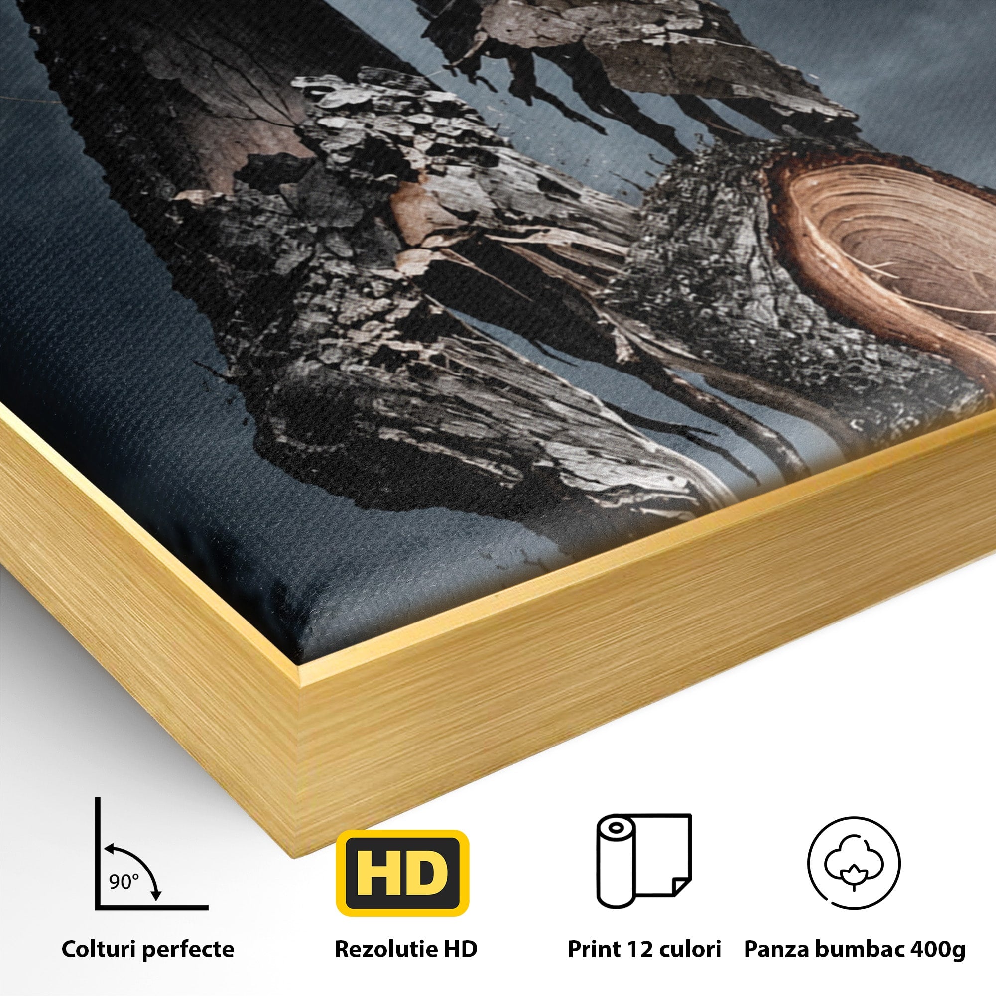 Tablou Canvas Premium LuxCanva® U1002, Imbratisarea Naturii, Maini, Fluturi, Natura, Magie, Living, Culori Vibrante