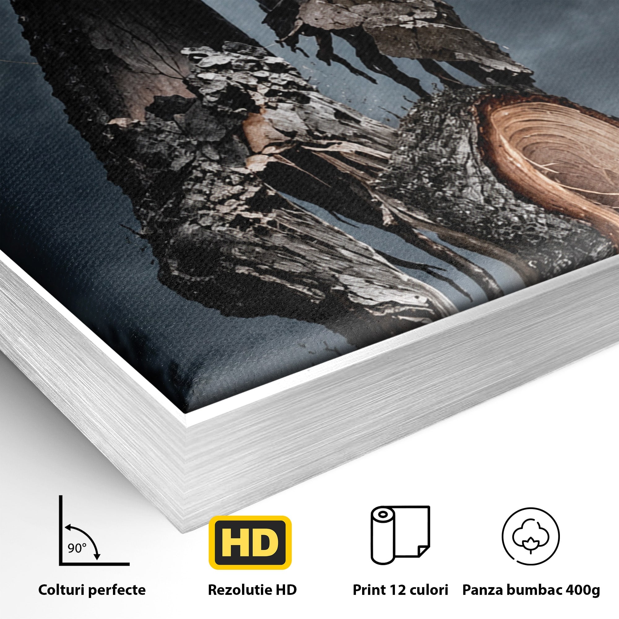 Tablou Canvas Premium LuxCanva® U1002, Imbratisarea Naturii, Maini, Fluturi, Natura, Magie, Living, Culori Vibrante
