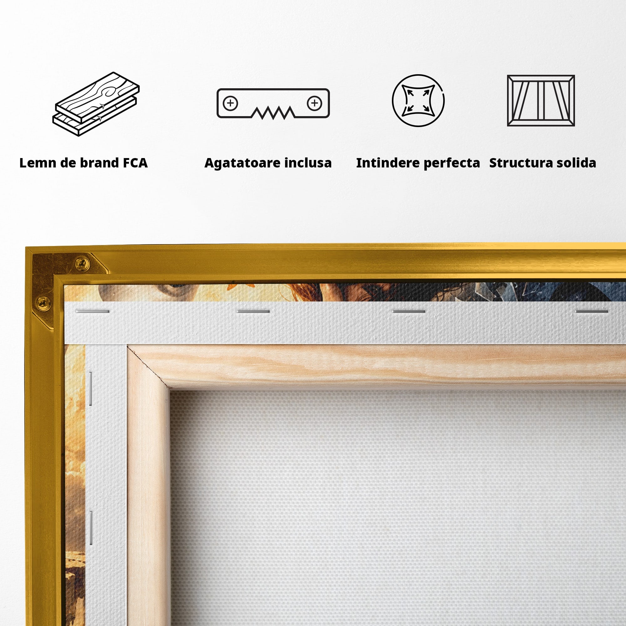 Tablou Canvas Premium LuxCanva® U1003, Reflectii Interioare, Reflectie, Fantezie, Emotii, Inger, Living, Culori Vibrante