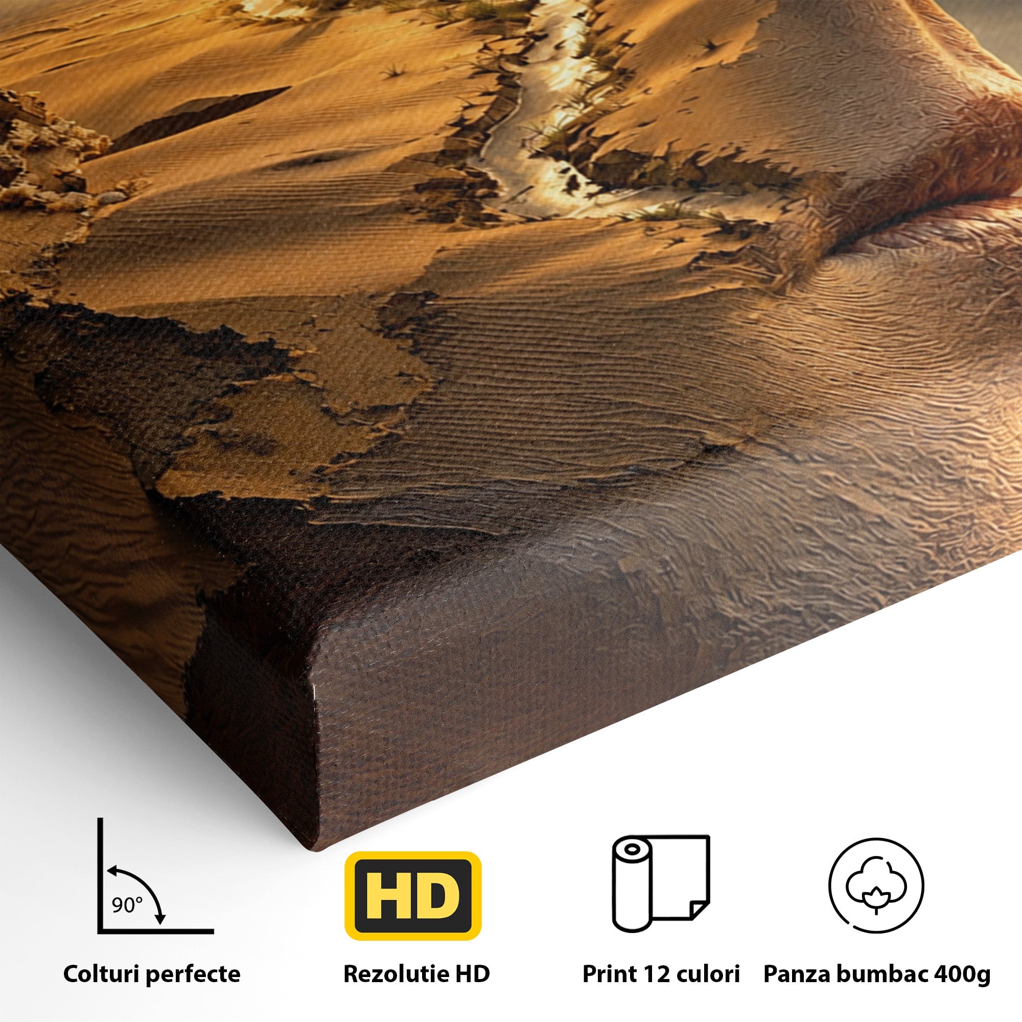 Tablou Canvas Premium LuxCanva® U1007, Chip In Desert, Chip, Desert, Apus, Living, Peisaj, Culori Vibrante