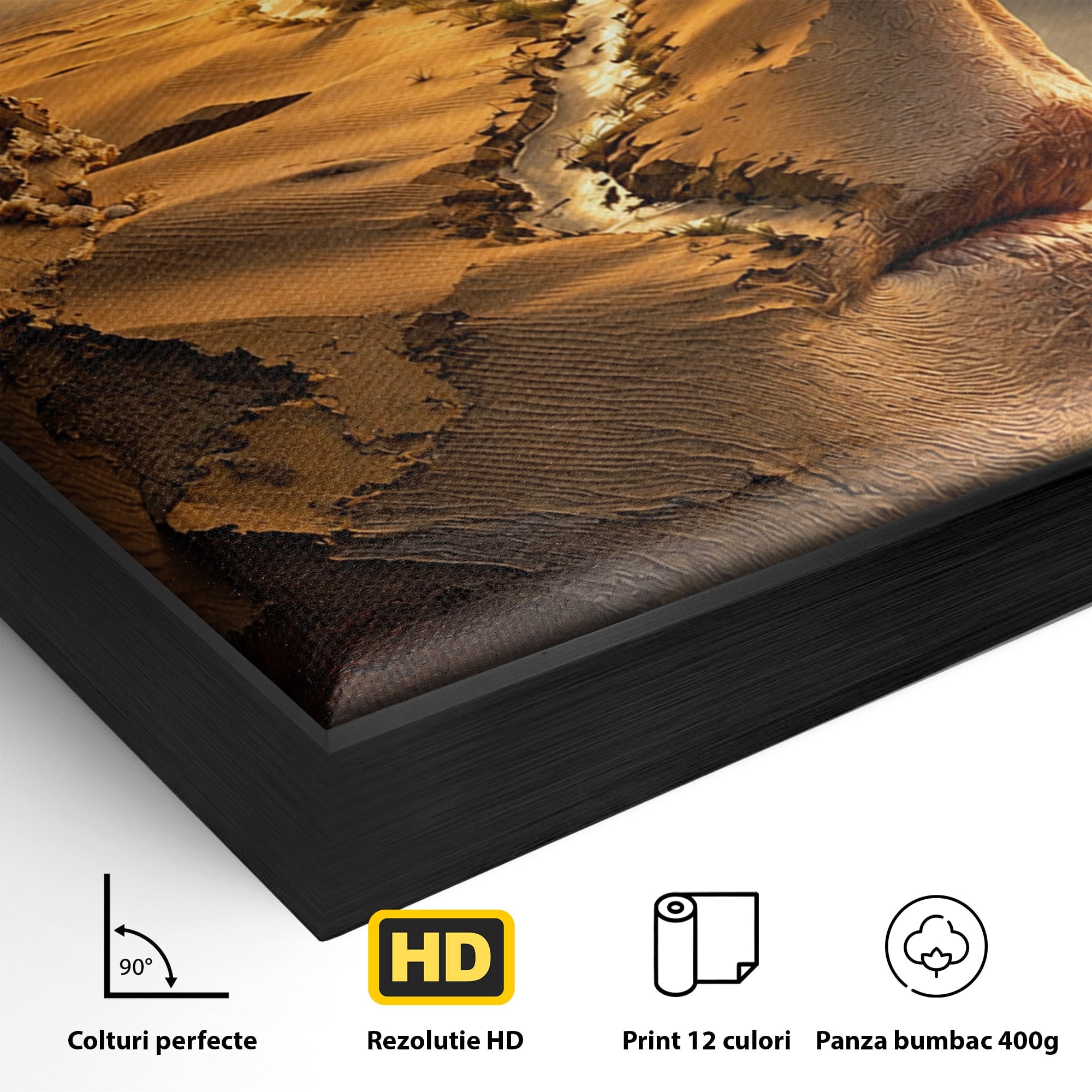 Tablou Canvas Premium LuxCanva® U1007, Chip In Desert, Chip, Desert, Apus, Living, Peisaj, Culori Vibrante